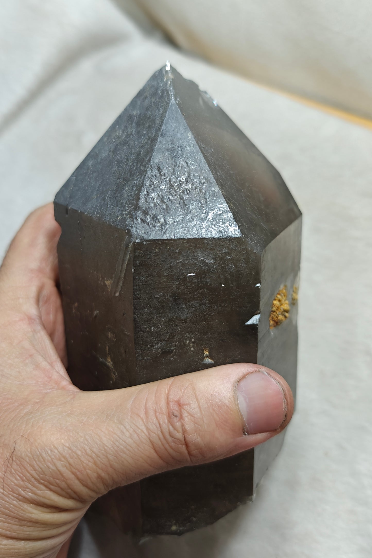 Large smoky Quartz Crystal 1290 grams