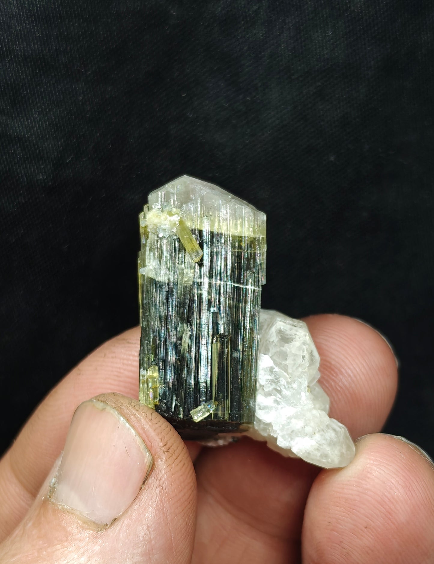 Natural dark green Tourmaline crystal with white head and associated quartz 14 grams