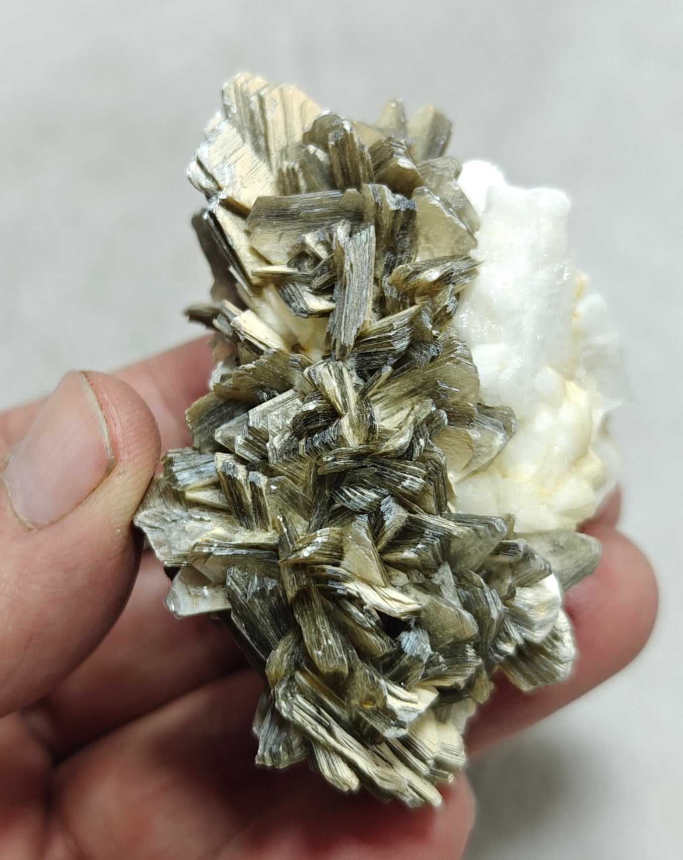 Natural specimen of combination of Albite, Schorl, and Muscovite 137 grams