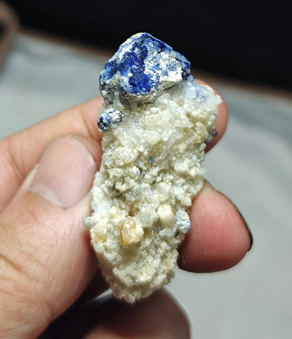 Amazing single Lazurite Afghanite specimen on matrix 25 grams