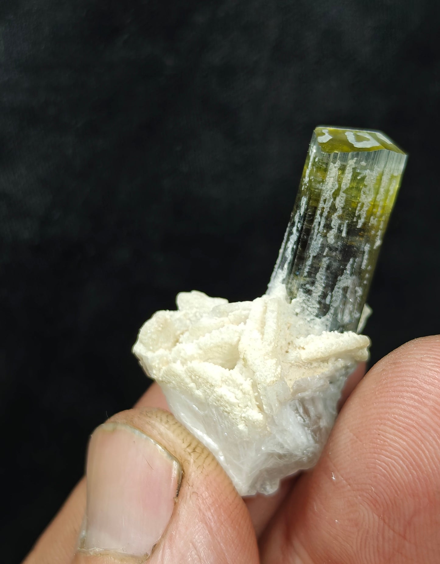 Natural multicolor Tourmaline crystal and associated cleavlandite and a bit of quartz 8 grams