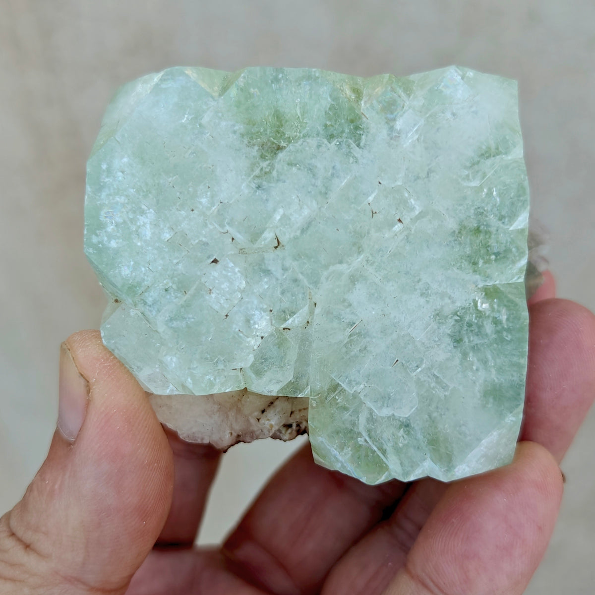 Apophyllite with associated stilbite 237 grams