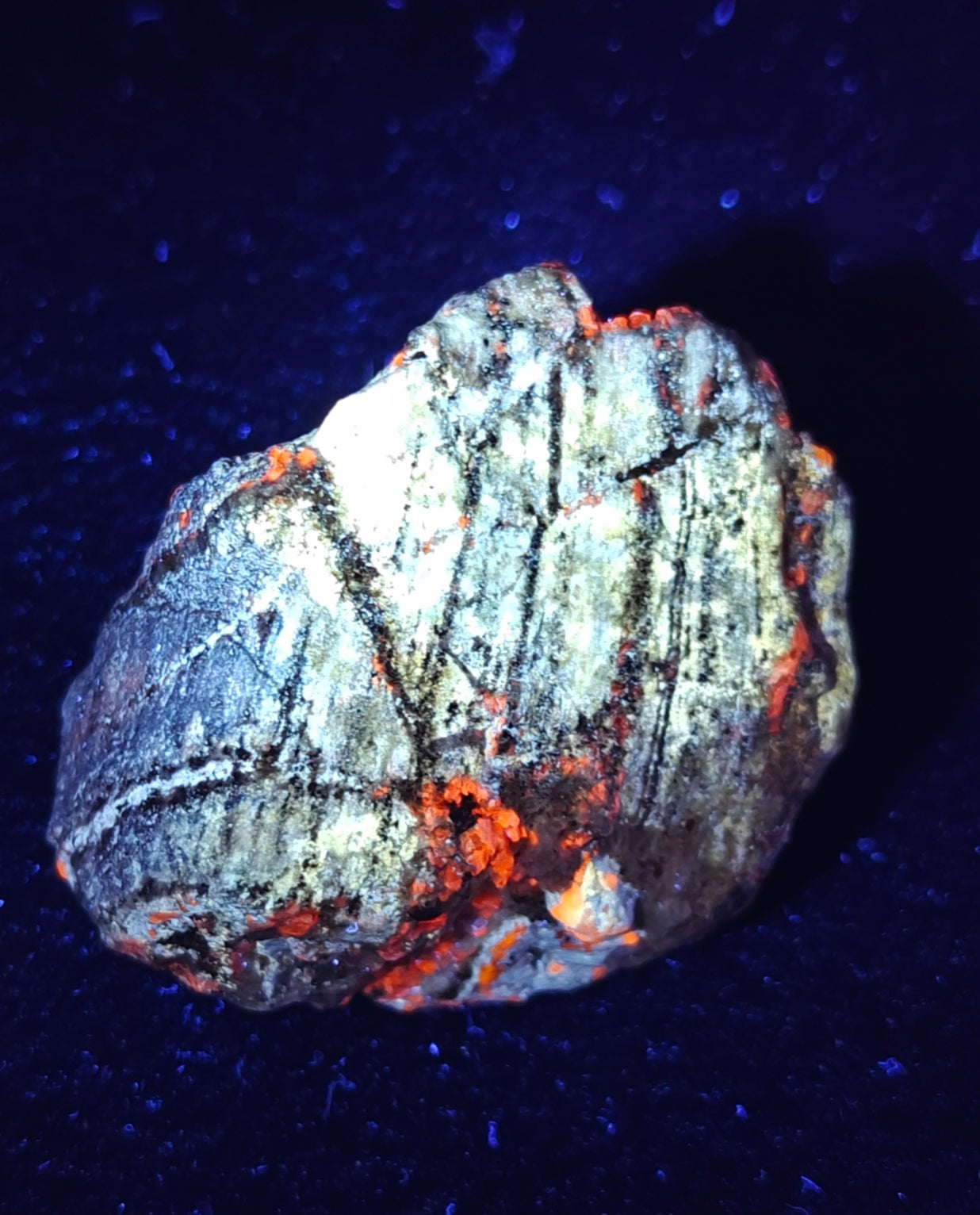 Afghanite Fluorescent in matrix with some pyrite 190 grams