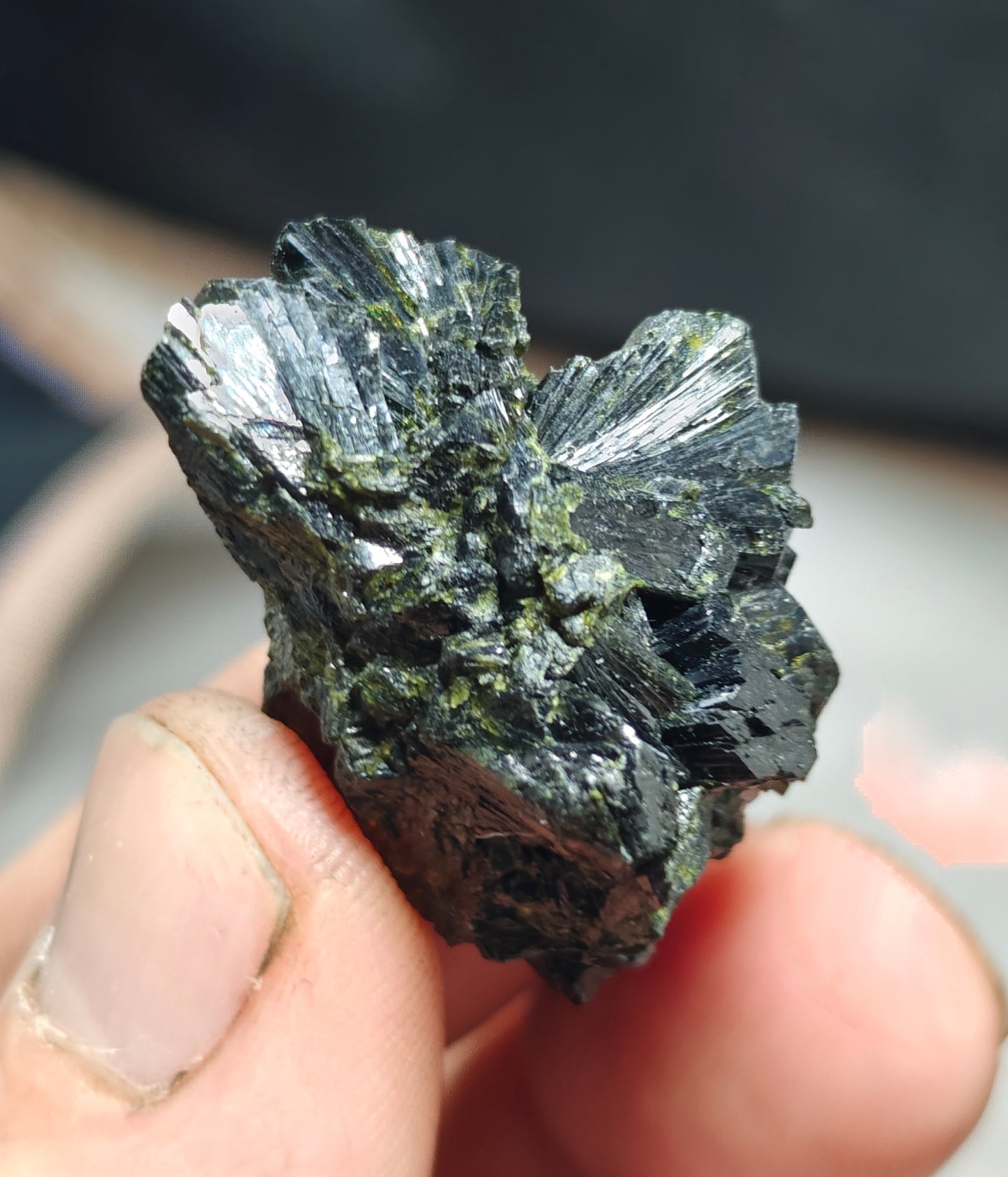 bowtie Epidote 20 grams
