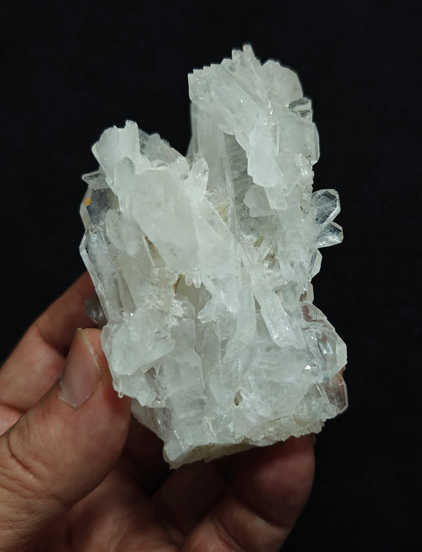 Single beautiful terminated Faden Quartz cluster 213 grams
