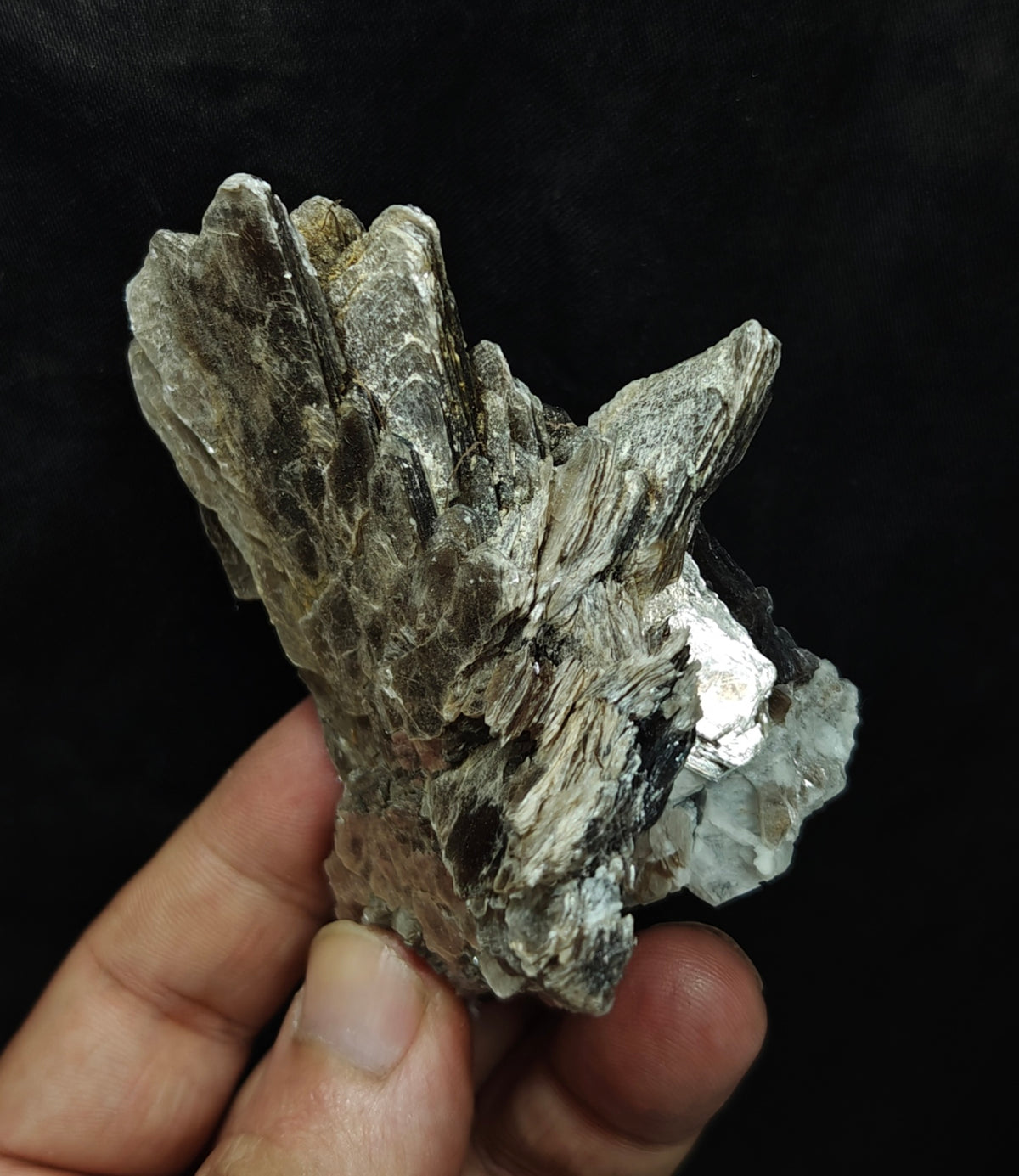 Natural spessartine garnet embedded in muscovite with albite 152 grams