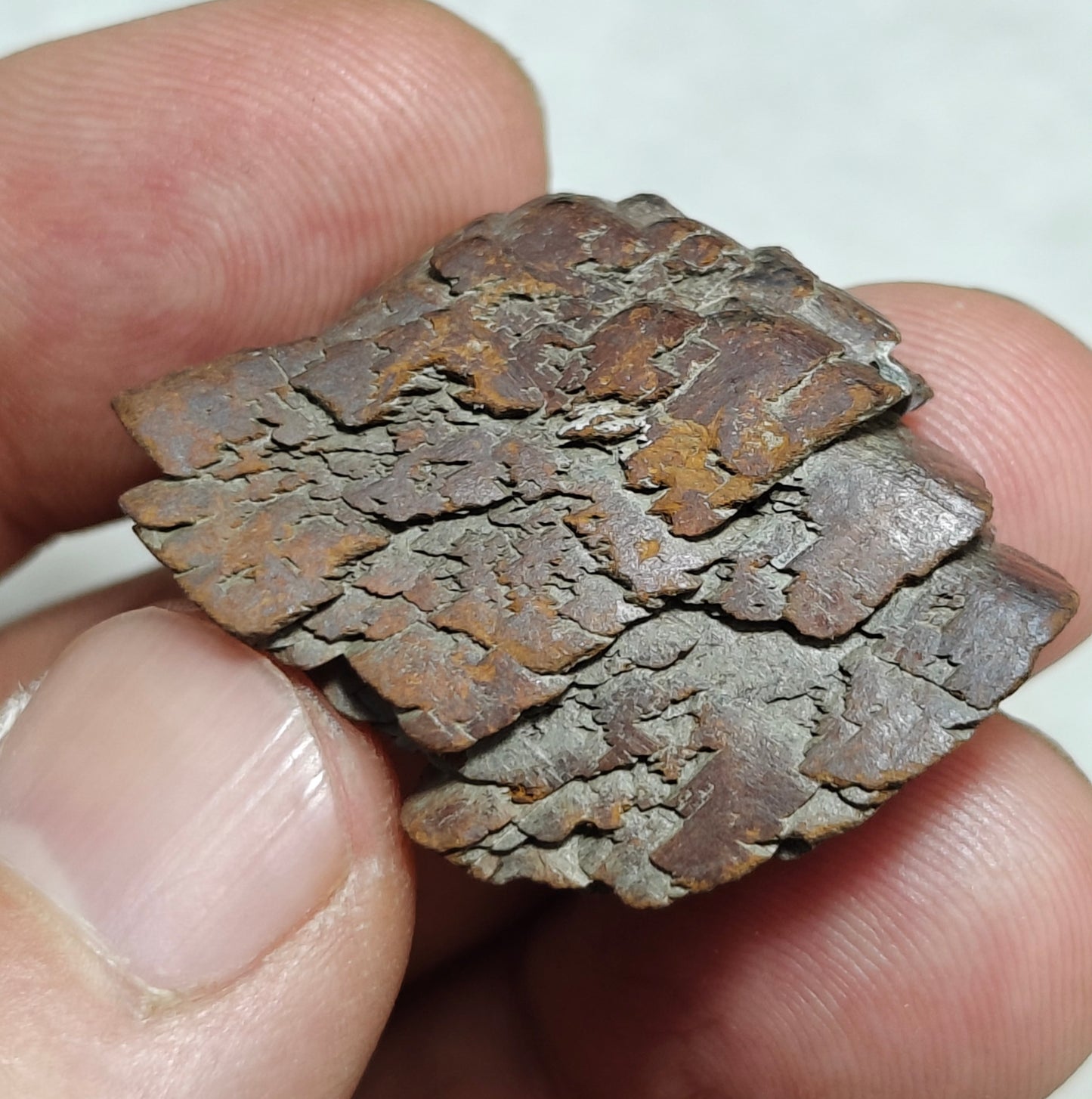Natural siderite specimen 12 grams