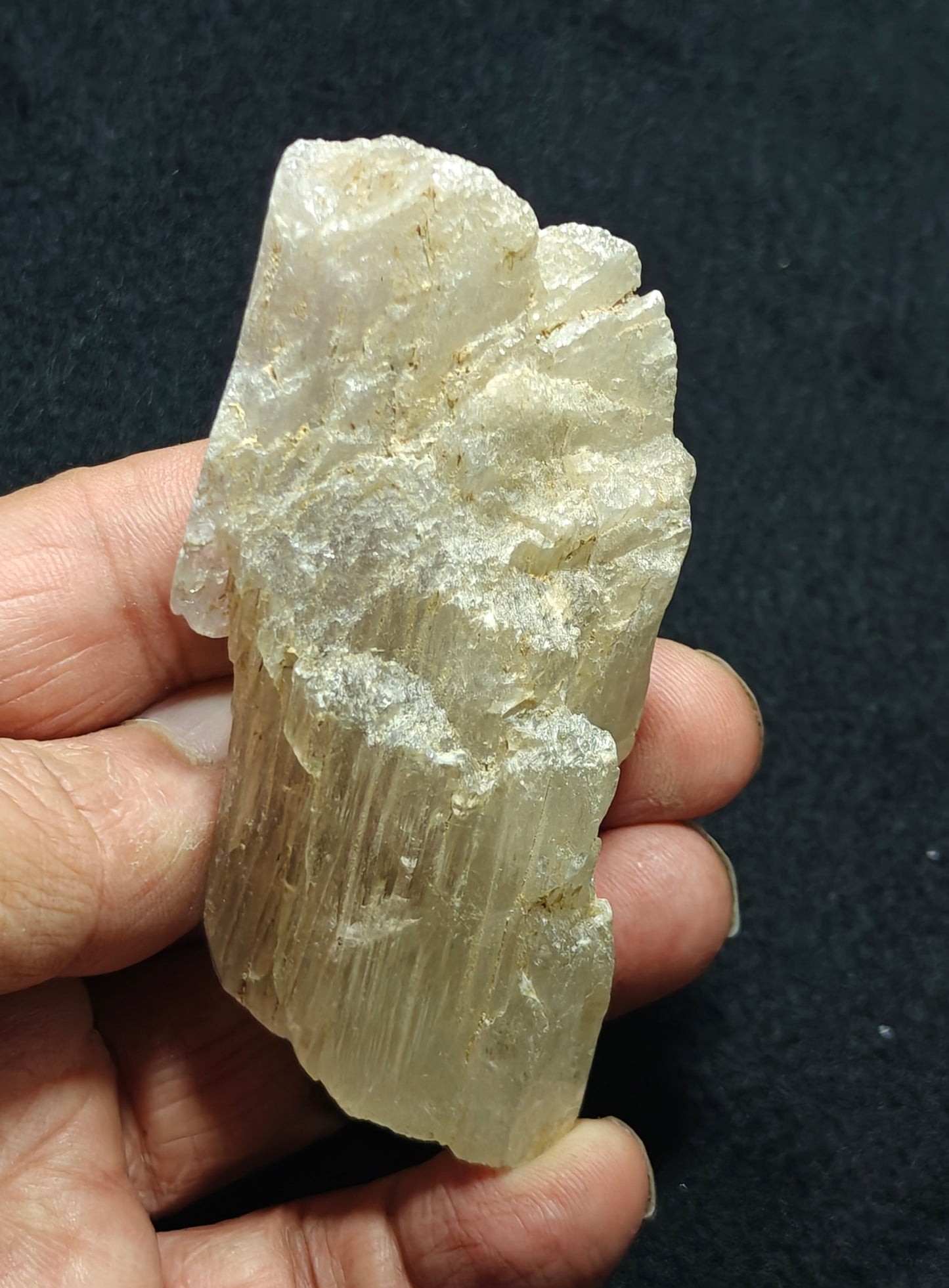 An amazing specimen of Bicolor terminated spodumene crystal 157 grams
