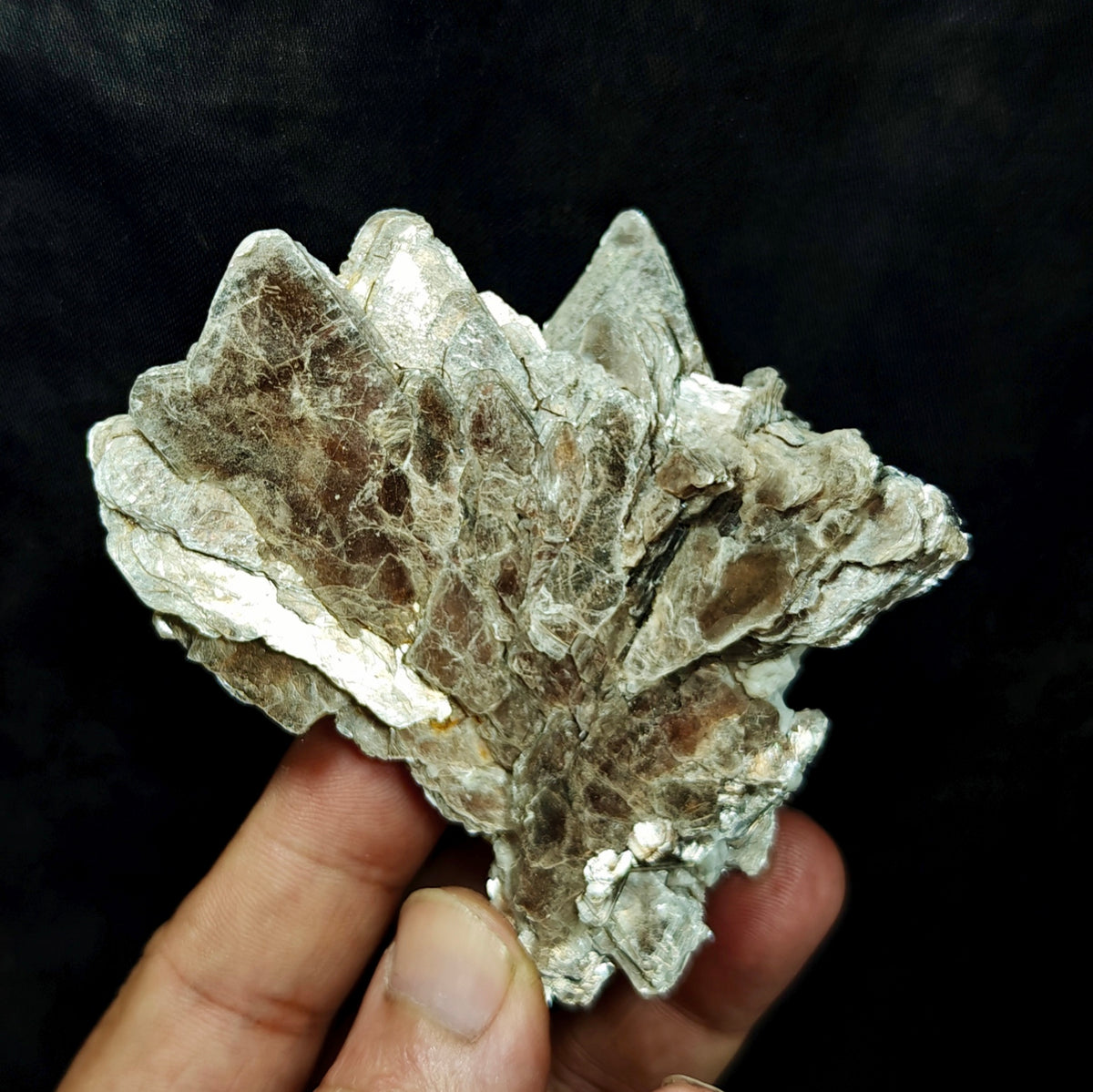 Natural spessartine garnet embedded in muscovite with albite 152 grams