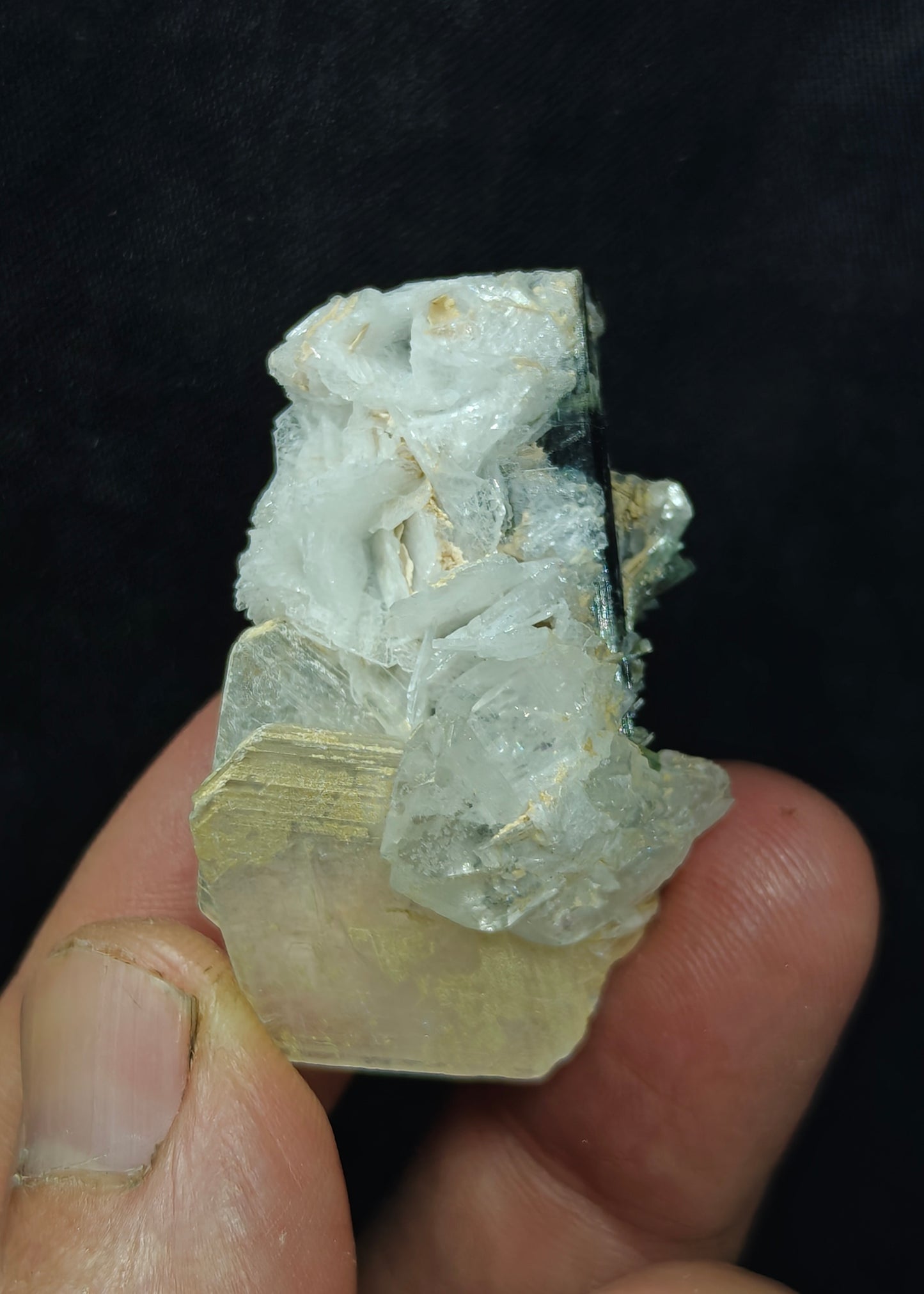 Natural dark green color Tourmaline crystal with associated cleavelandite, muscovite and a small quartz 24grams