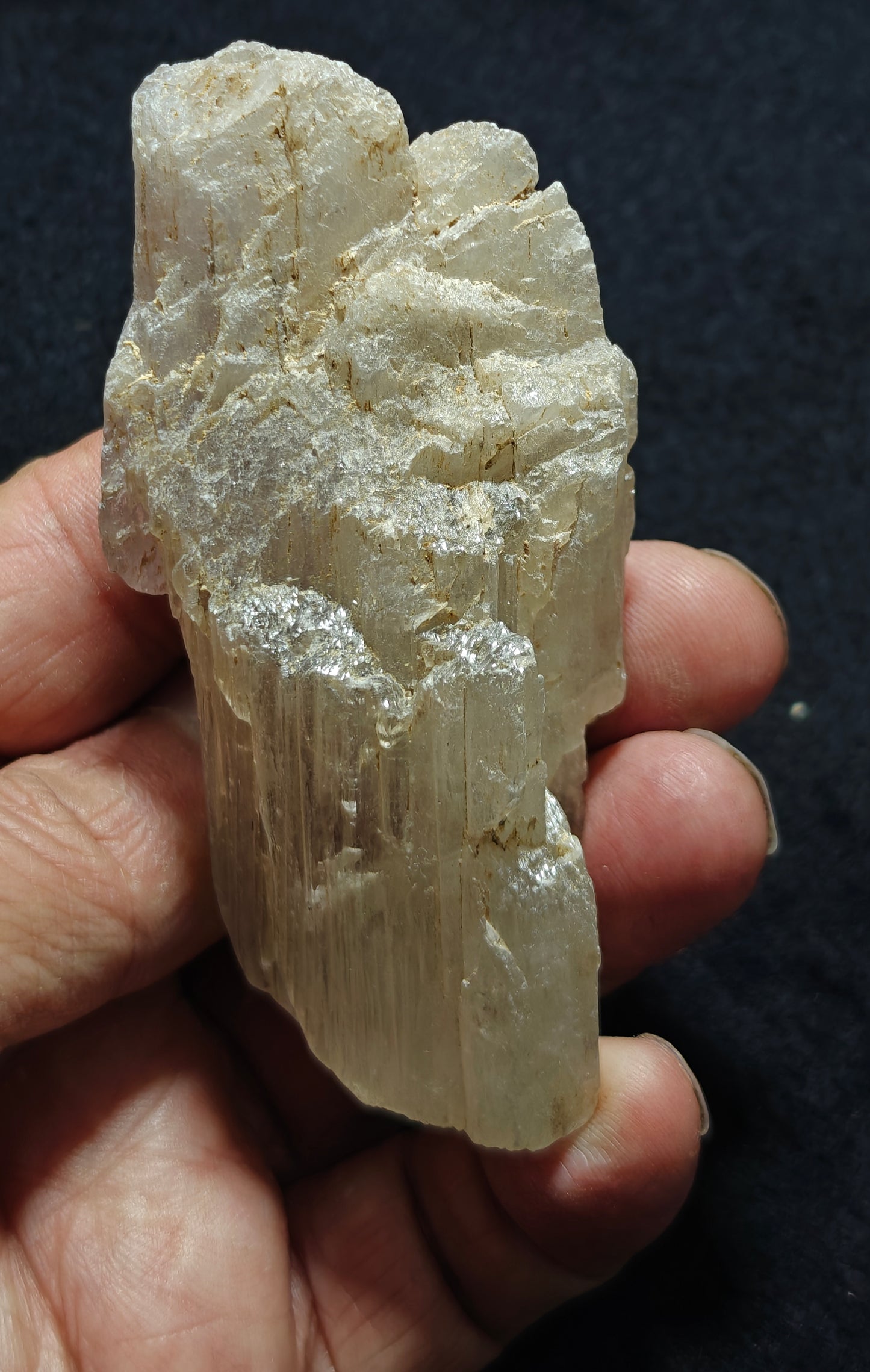 An amazing specimen of Bicolor terminated spodumene crystal 157 grams