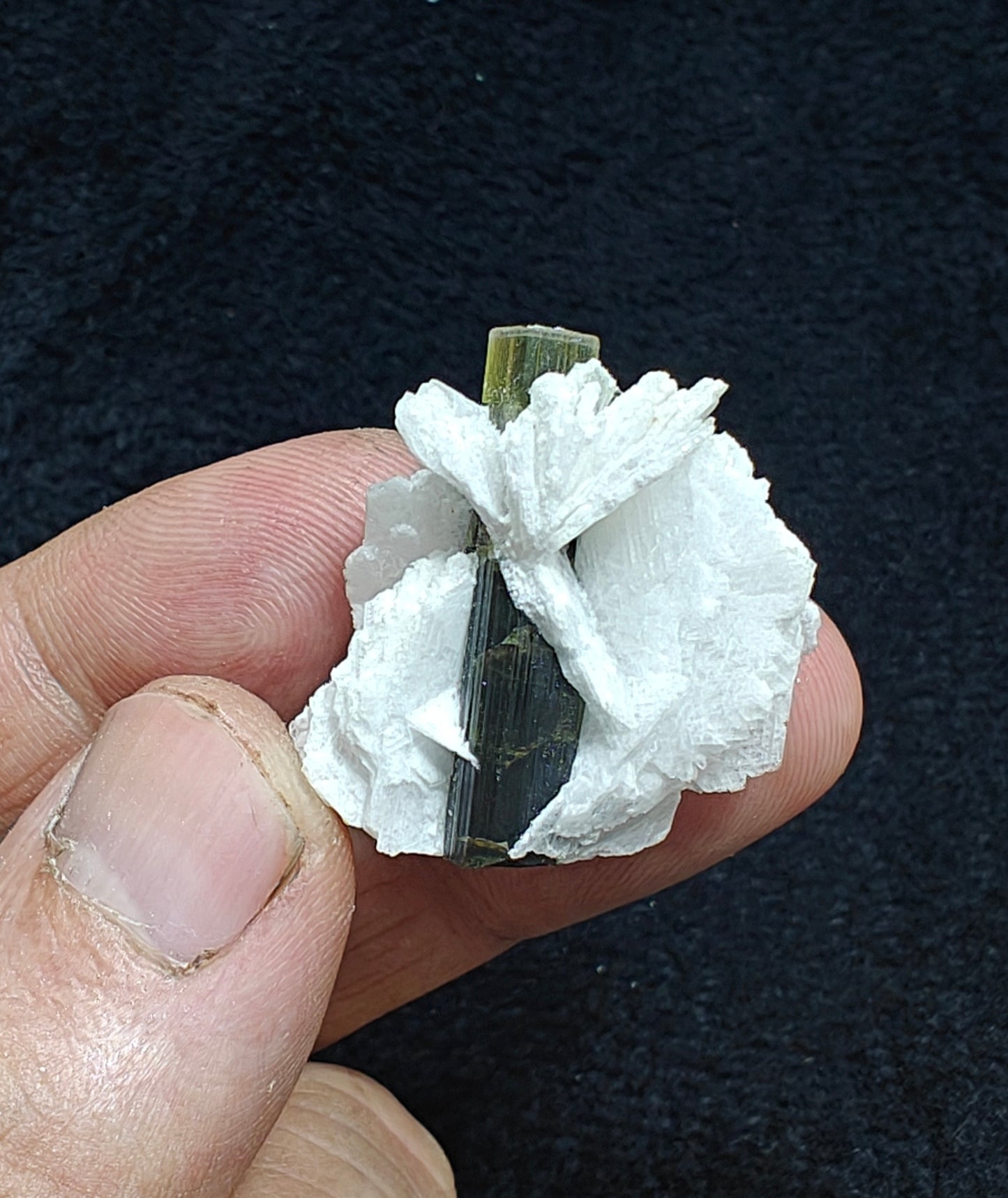 Greencap Tourmaline crystal with associated cleavelandite 10 grams