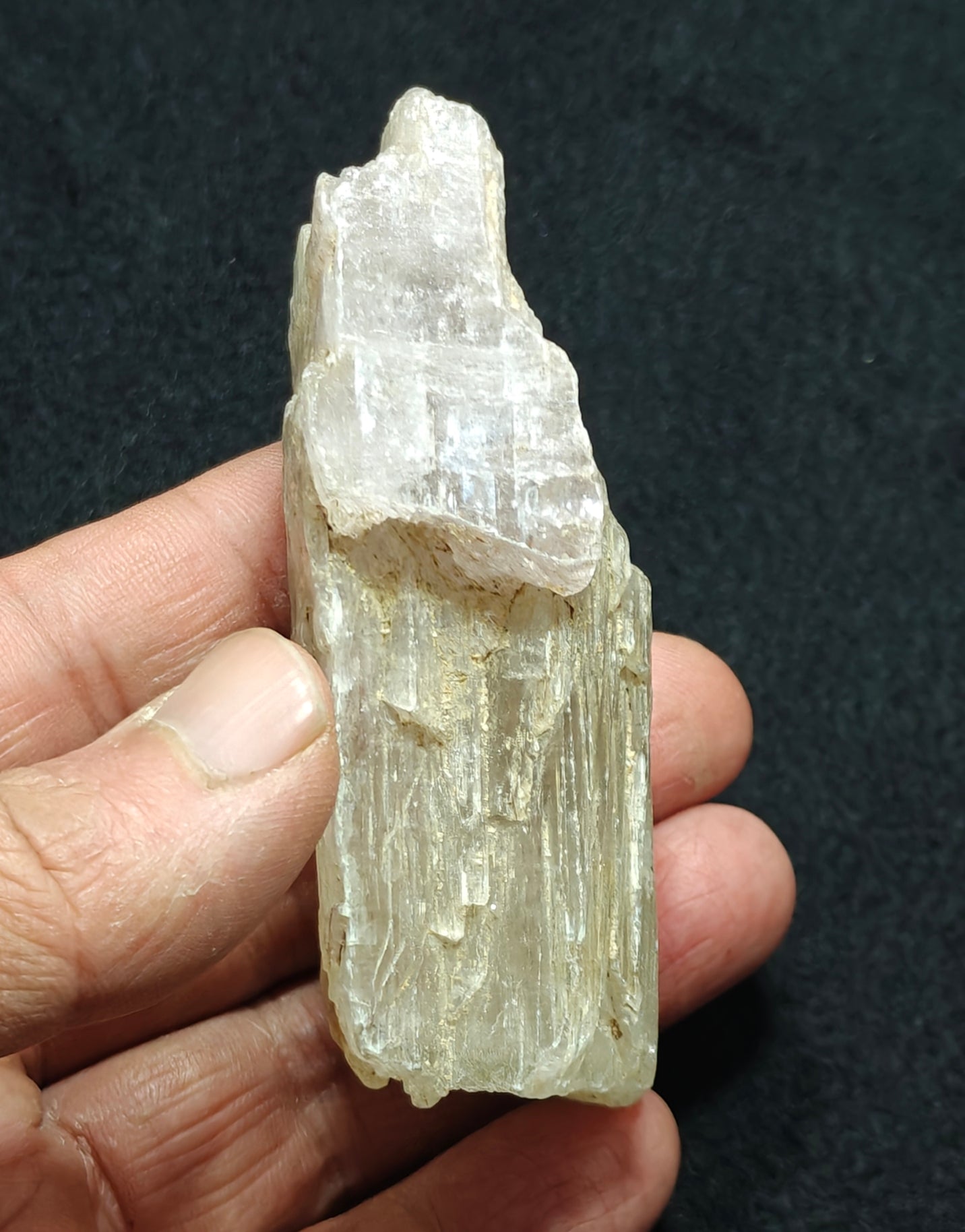 An amazing specimen of Bicolor terminated spodumene crystal 157 grams
