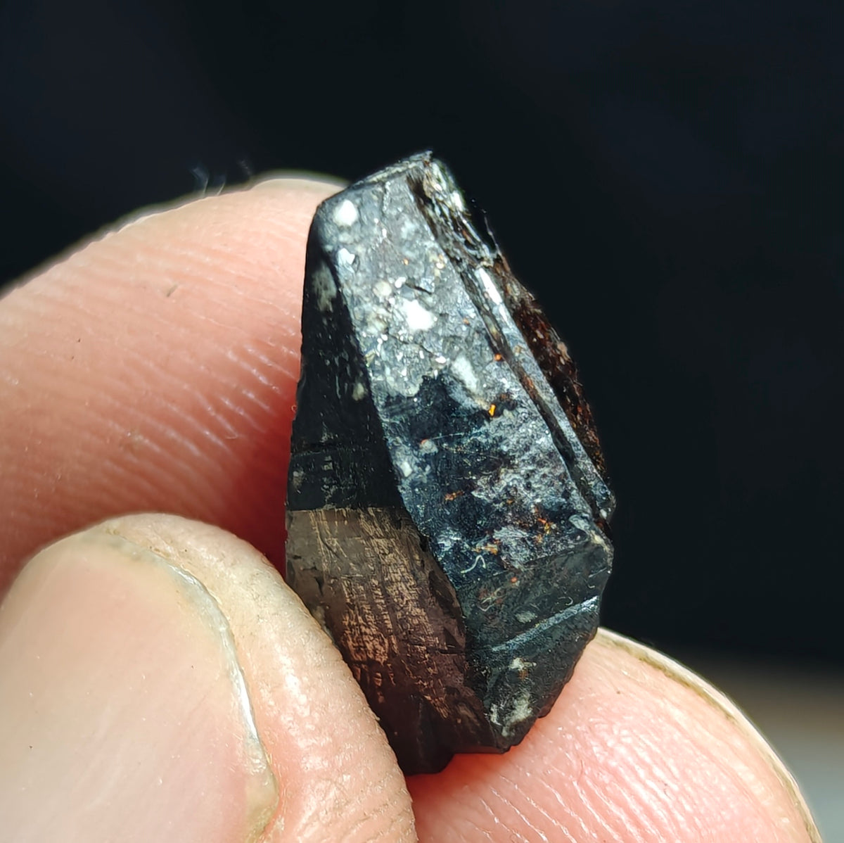 Small Tantalite crystal 4.8 grams