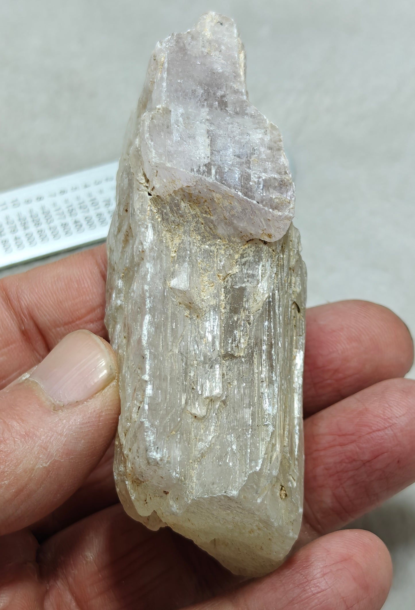 An amazing specimen of Bicolor terminated spodumene crystal 157 grams