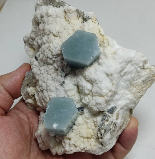 Terminated Afghanistan Aquamarine Crystals on matrix with albite 885 grams