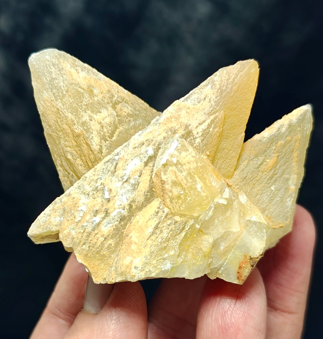 Single beautiful Dogteeth calcite crystals cluster with beautiful terminations 154 grams