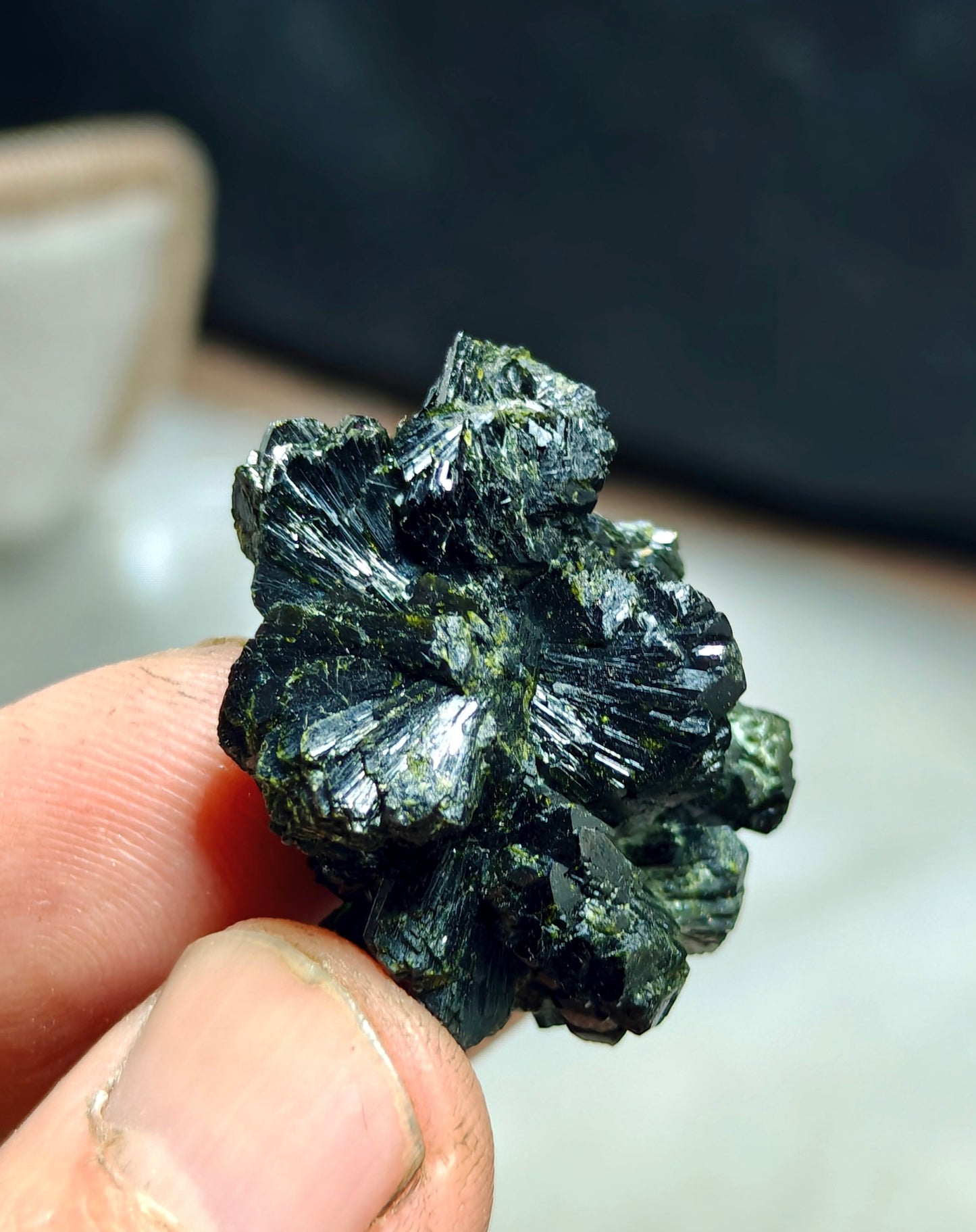 Bowtie Epidote spray cluster 23 grams