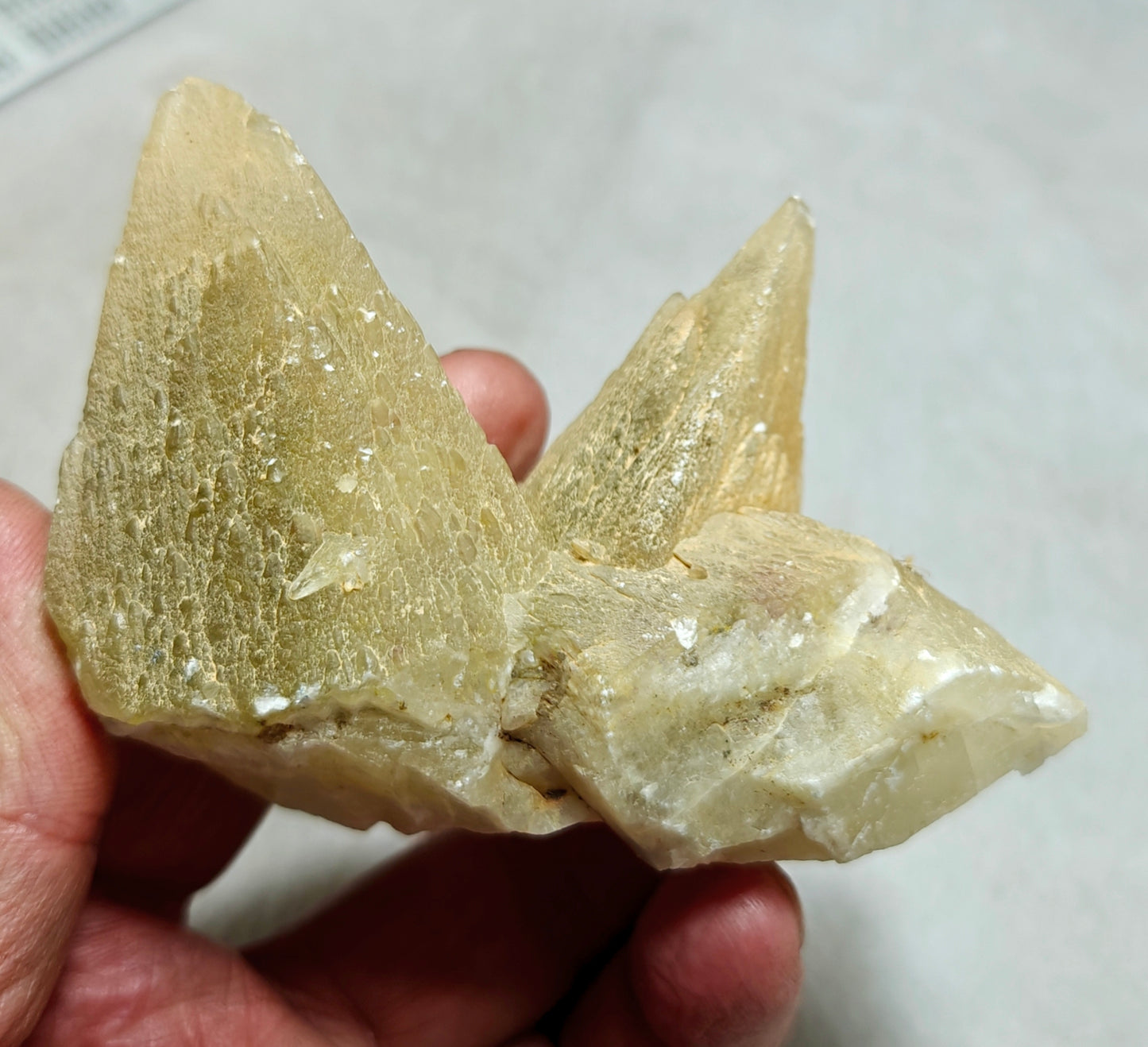 Dogteeth calcite crystals cluster with beautiful terminations 218 grams