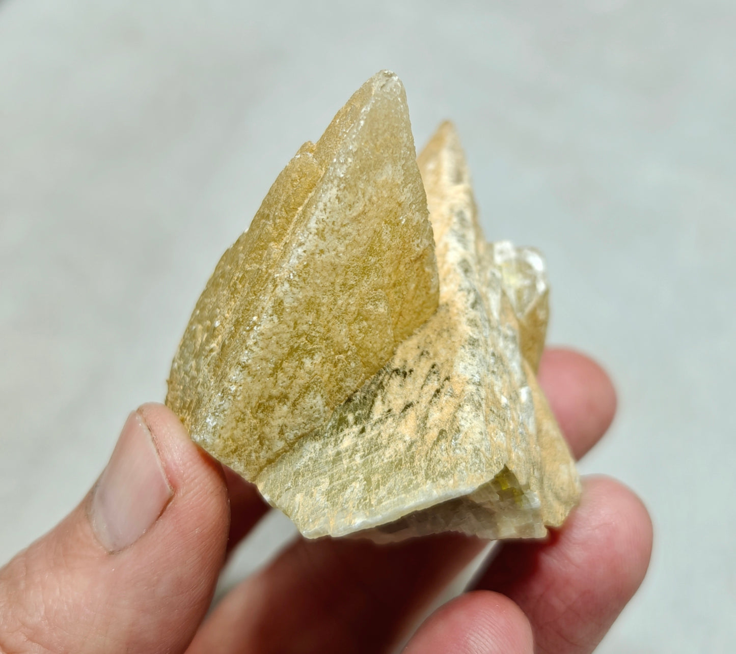 Single beautiful Dogteeth calcite crystals cluster with beautiful terminations 154 grams