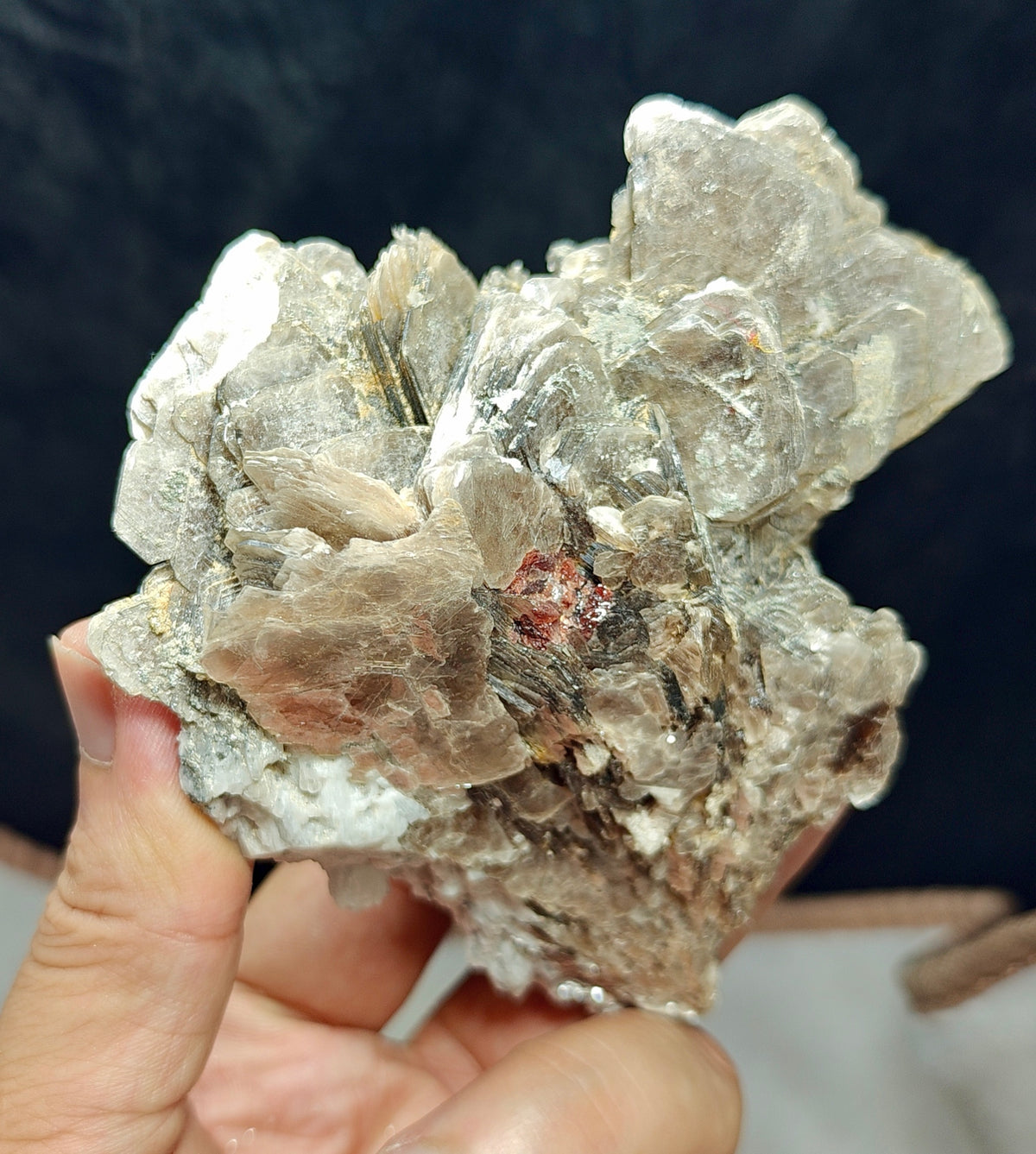 Natural spessartine garnet embedded in muscovite and albite 433 grams