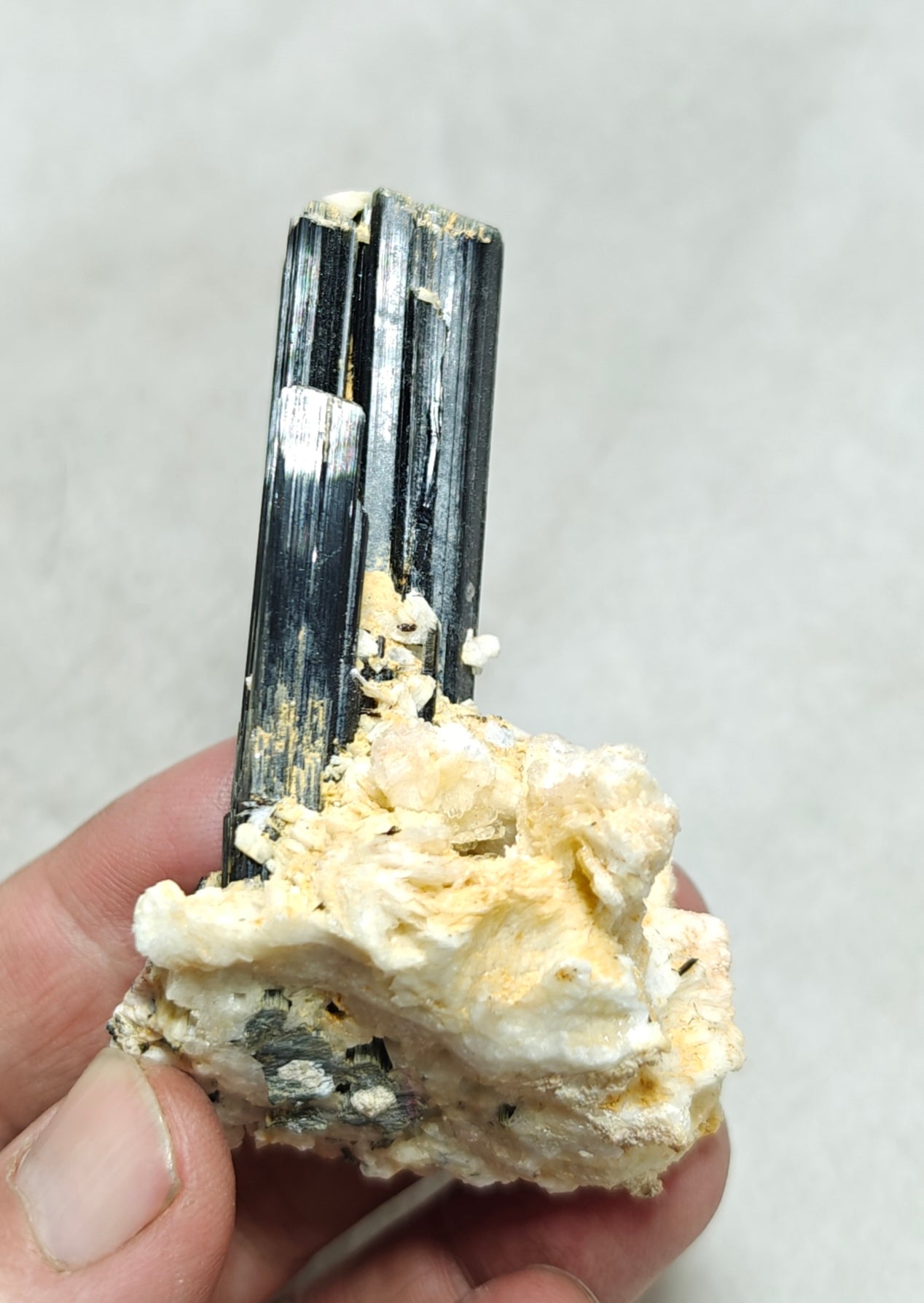 Tourmaline crystals on matrix with Albite attachment self standing 89 grams
