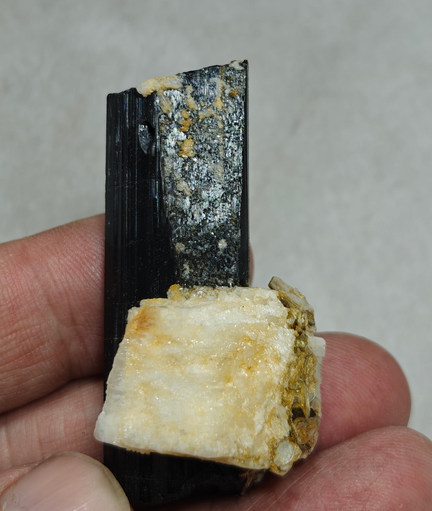 Natural Tourmaline crystal with Albite and Muscovite 38 grams