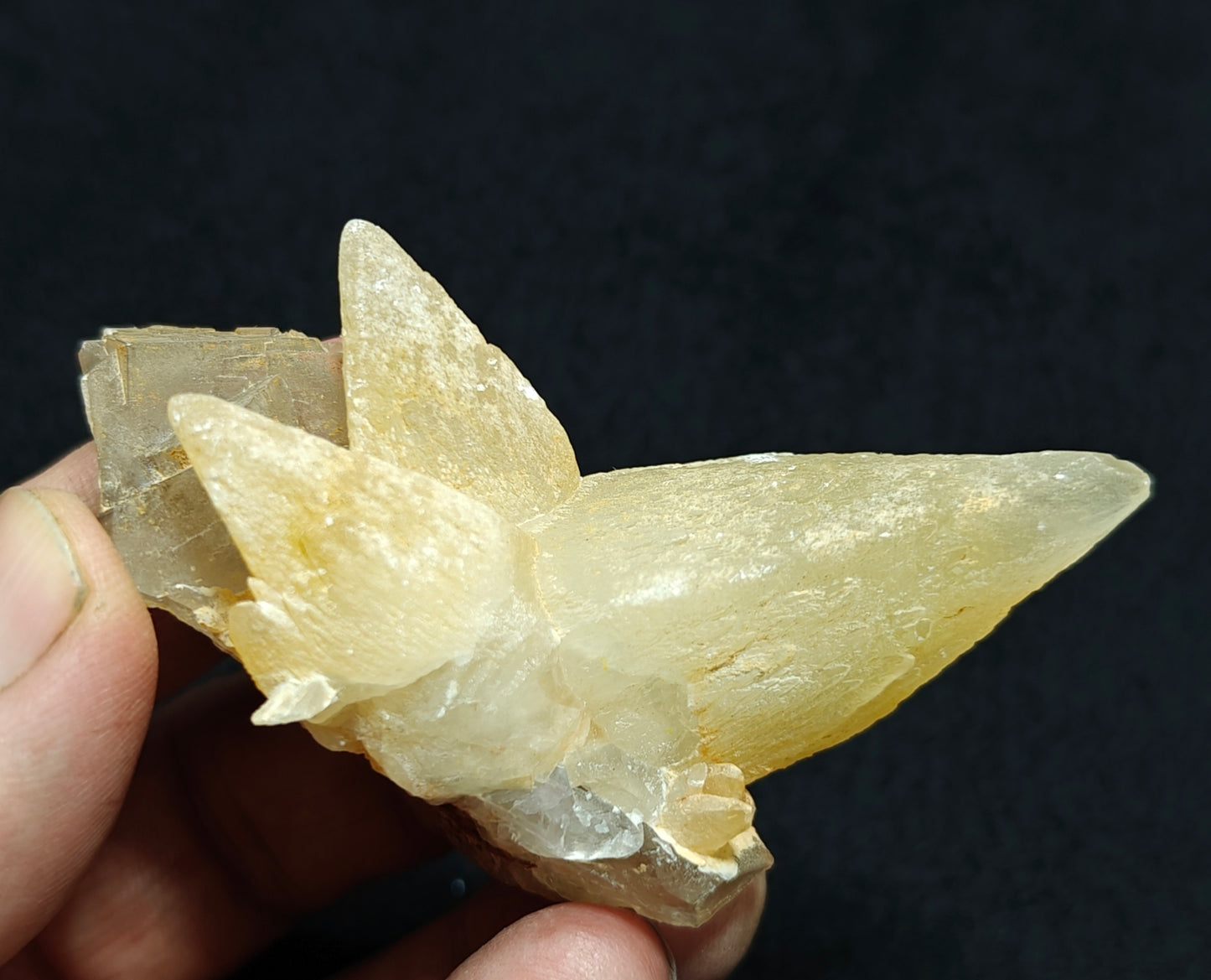 Single beautiful Dogteeth calcite crystals cluster with beautiful terminations with Fluorite combinations 80 grams