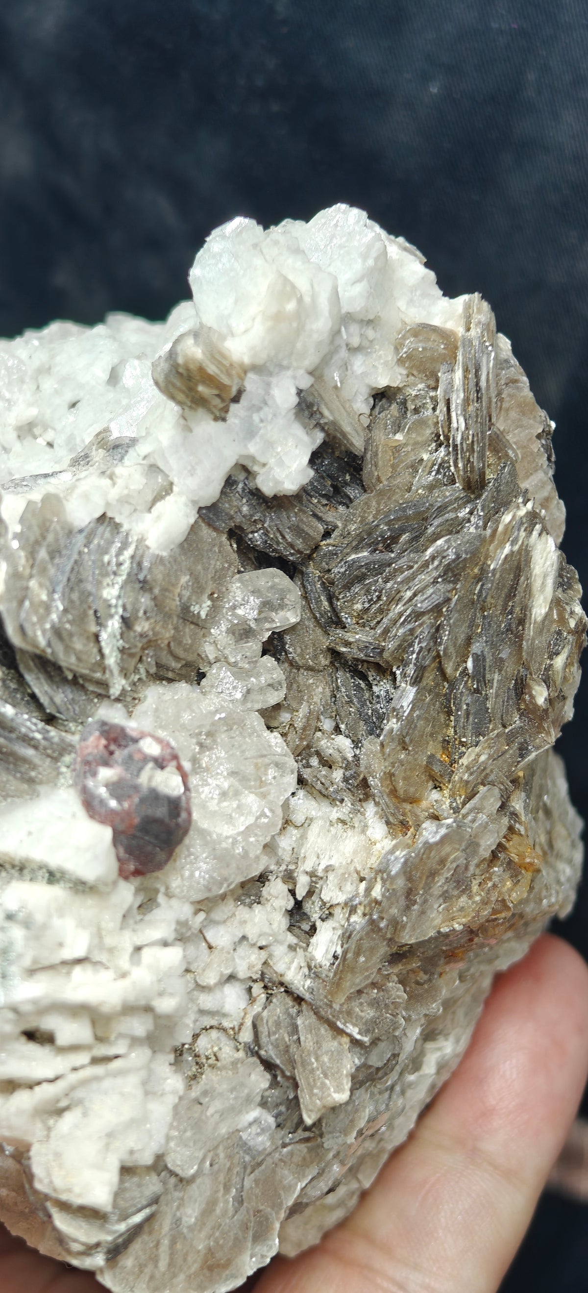 Natural spessartine garnet embedded in muscovite, with albite and quartz 544 grams