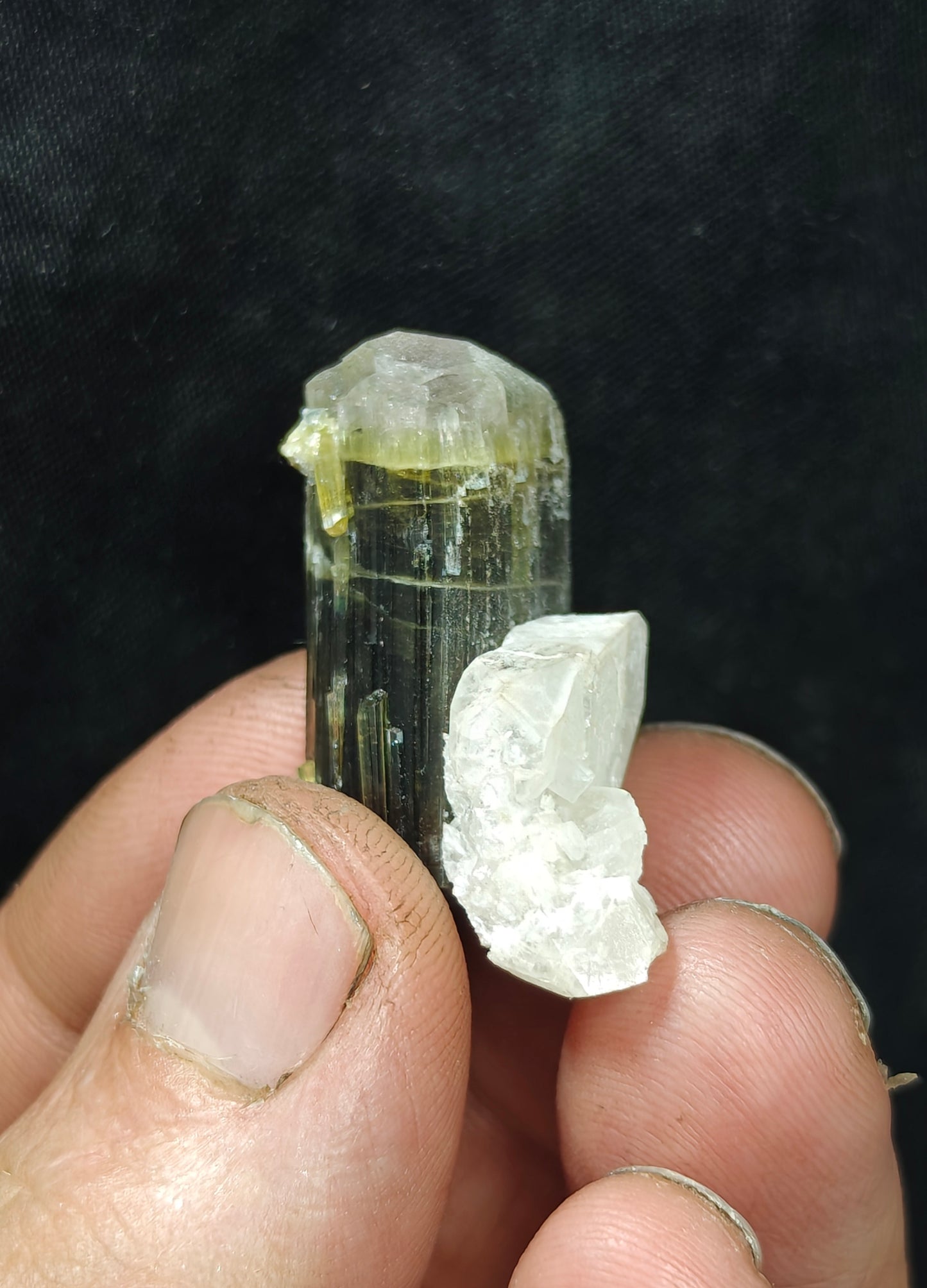 Natural dark green Tourmaline crystal with white head and associated quartz 14 grams