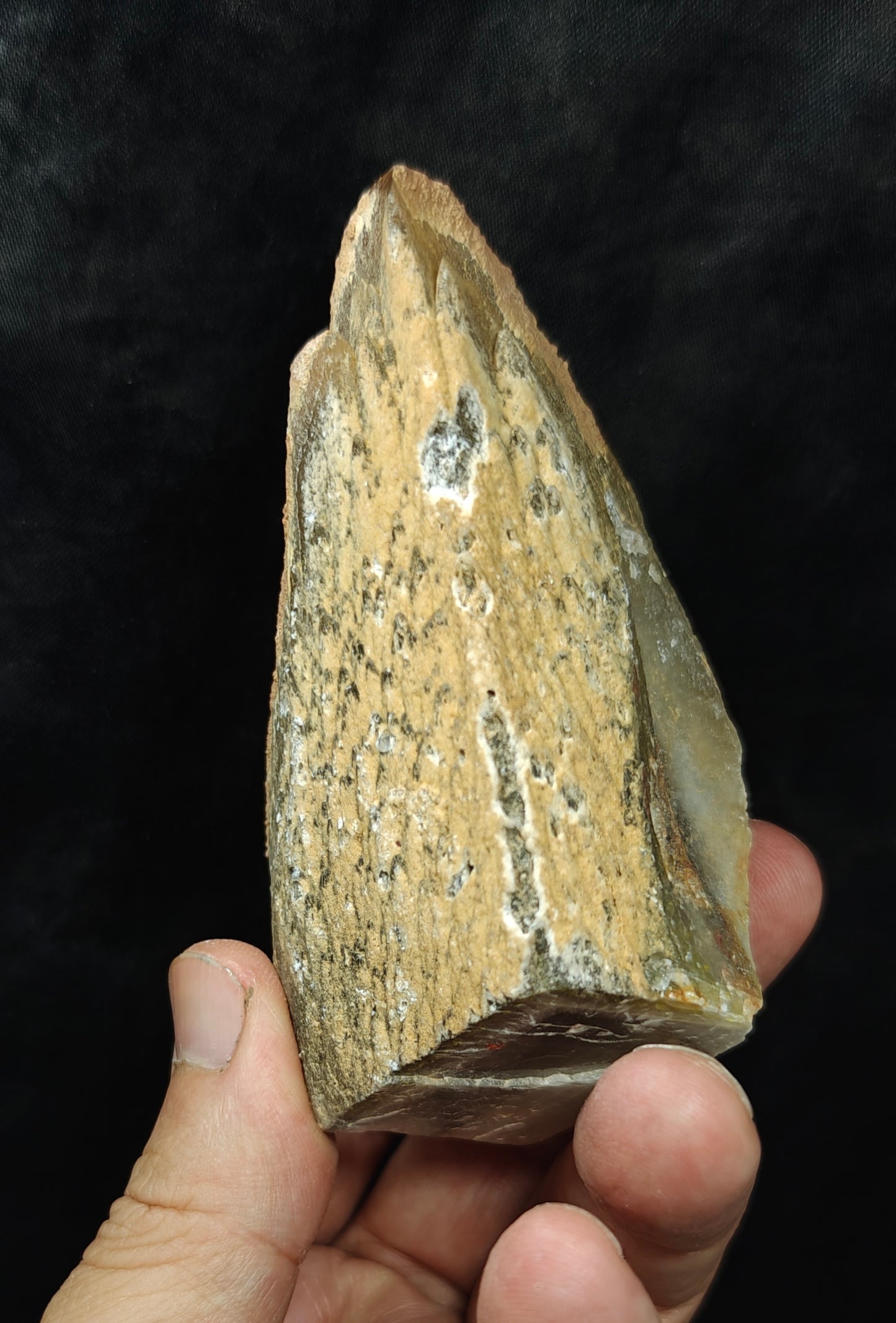 Naturally terminated Dogteeth Calcite Crystal 274 grams