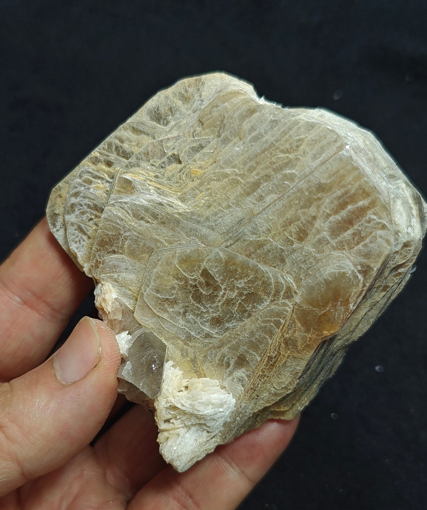 Mica variety muscovite 179 grams