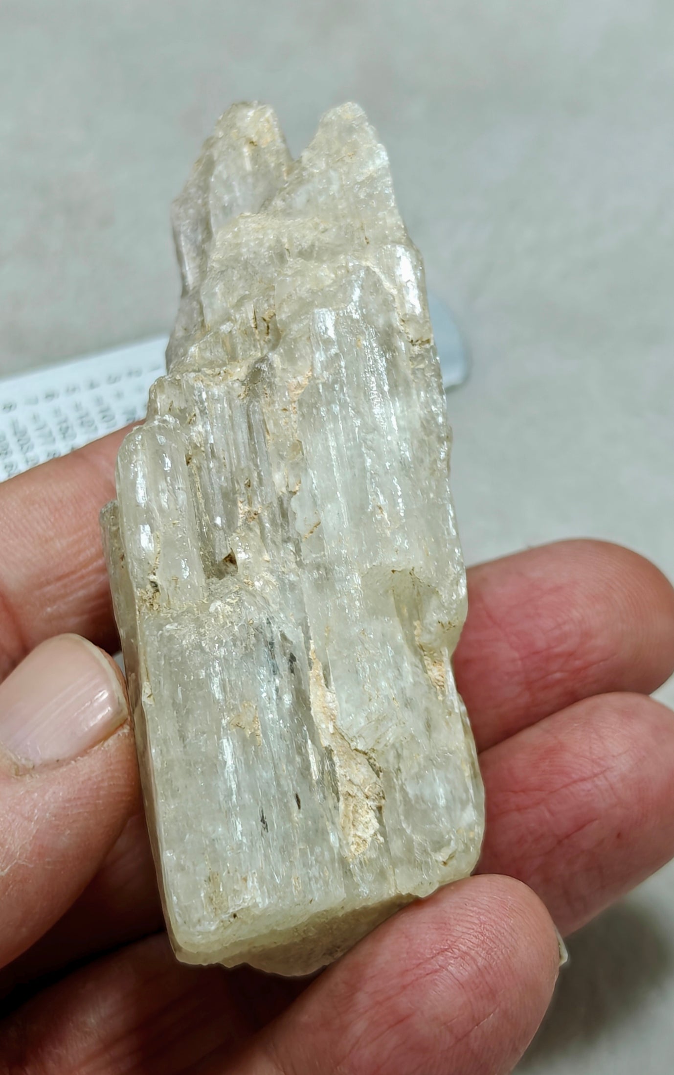 An amazing specimen of Bicolor terminated spodumene crystal 157 grams