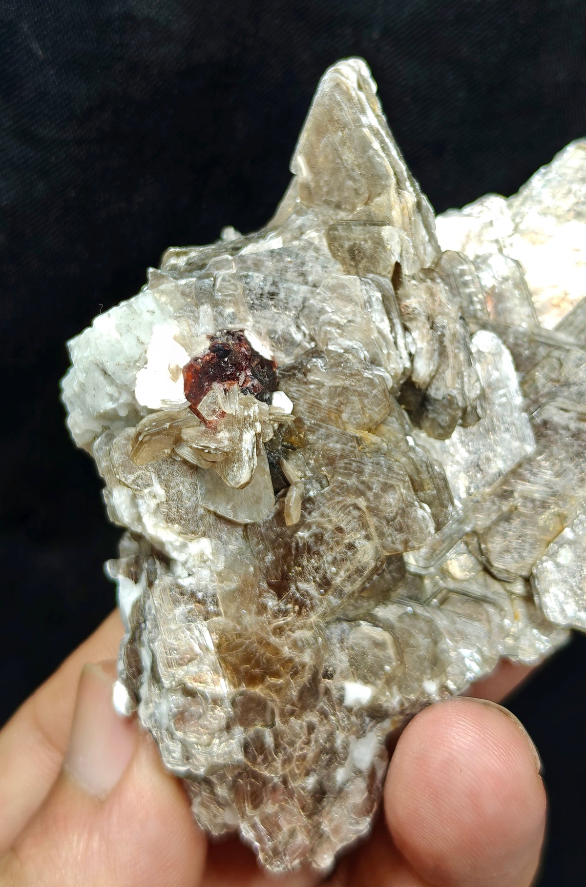 Natural spessartine garnet embedded in muscovite with albite 152 grams