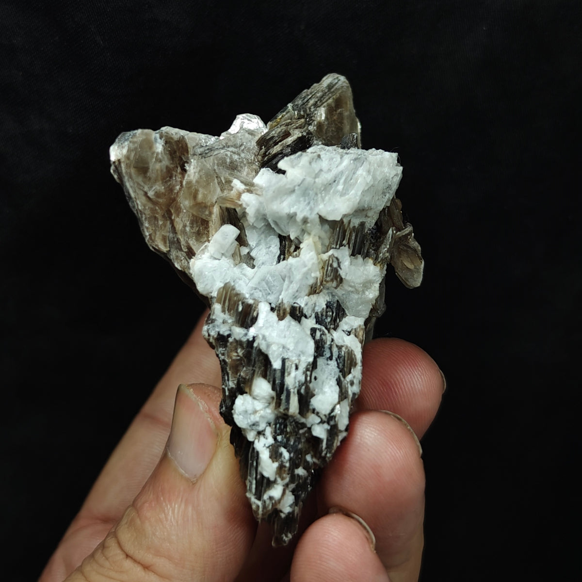 Natural spessartine garnet embedded in muscovite with albite 152 grams