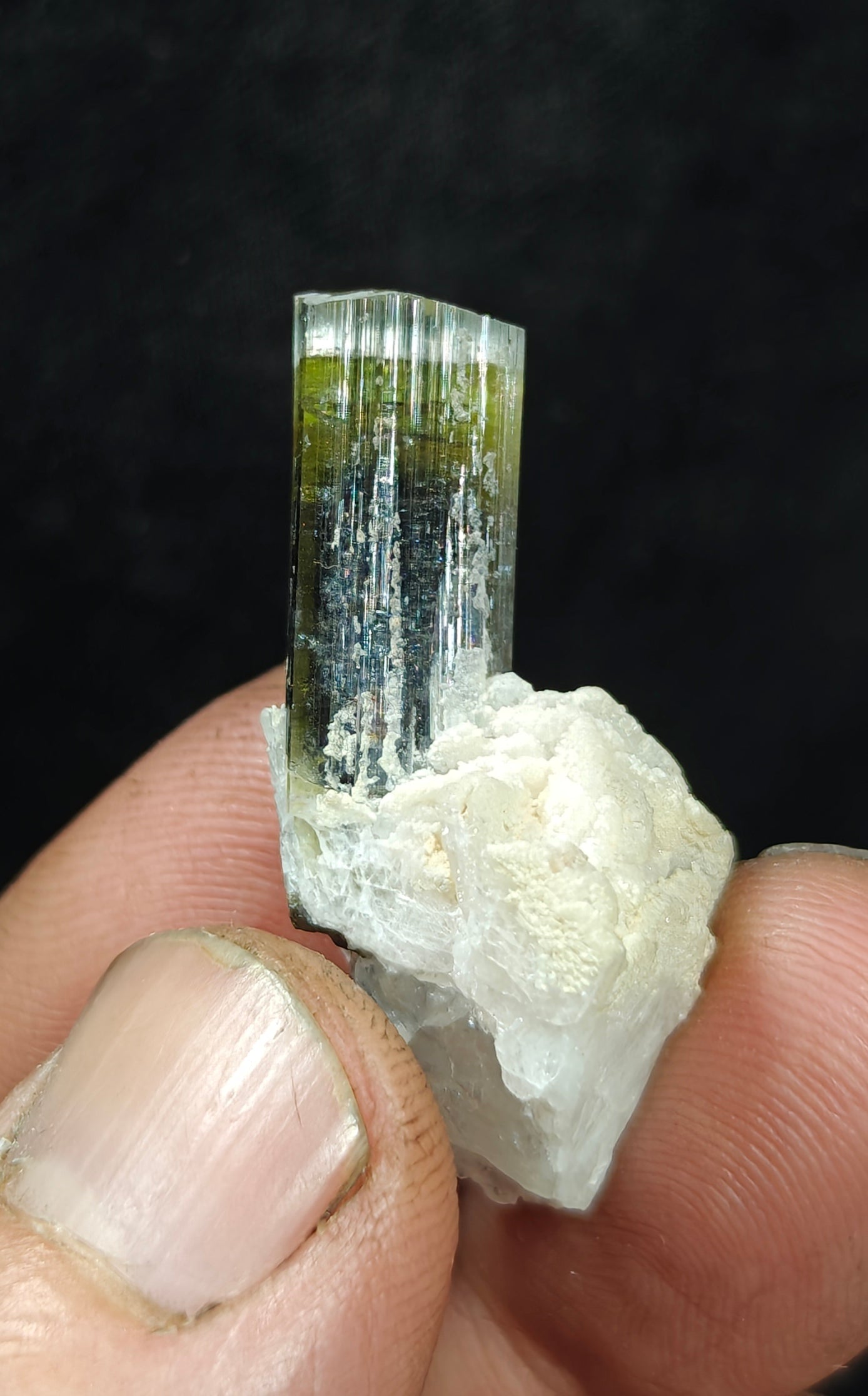 Natural multicolor Tourmaline crystal and associated cleavlandite and a bit of quartz 8 grams