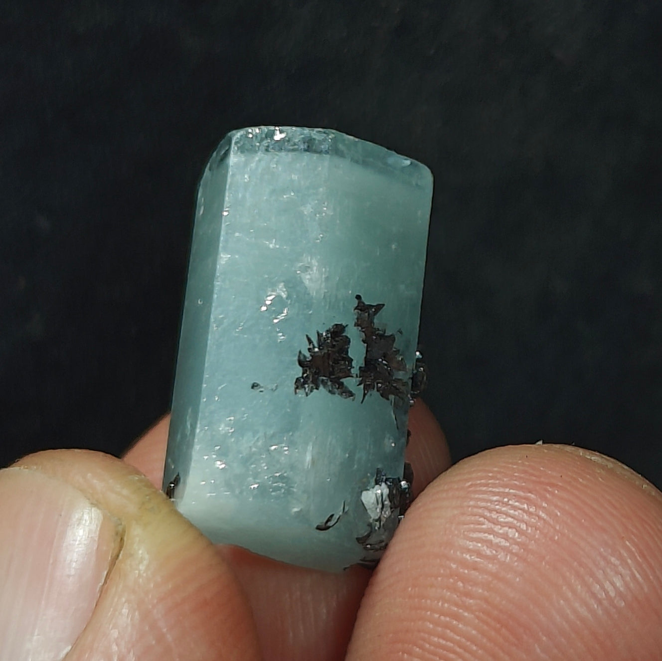 Aquamarine Crystal with tantalite 27 carats