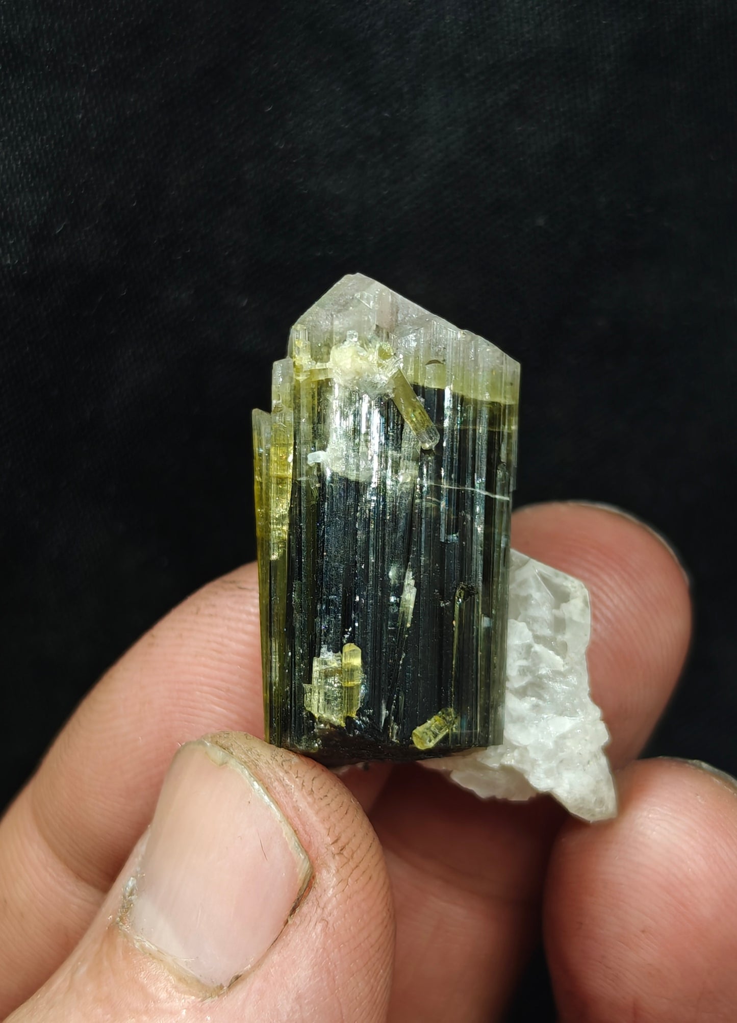 Natural dark green Tourmaline crystal with white head and associated quartz 14 grams