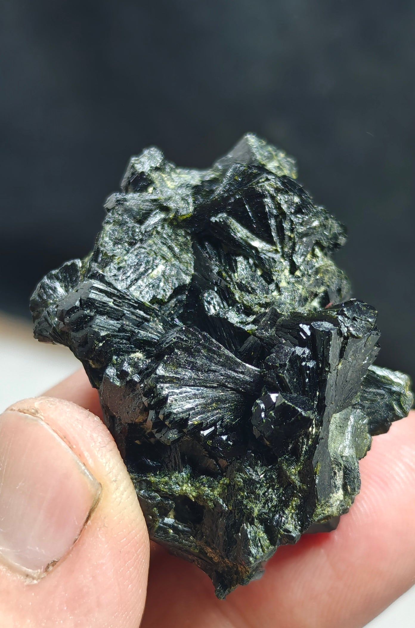 Bowtie Epidote 42 grams