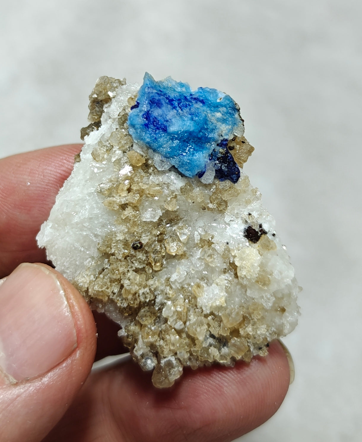 Afghanite Fluorescent in matrix with some pyrite and phlogopite 25 grams