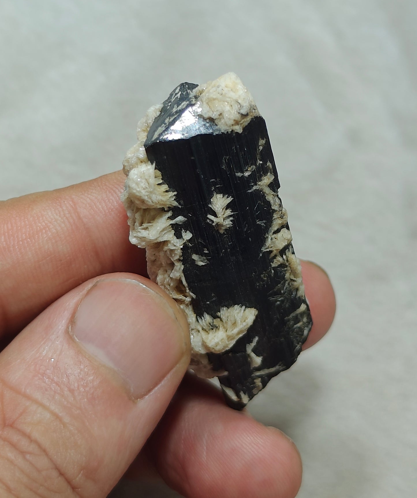 Natural Tourmaline crystal with associated Albite 30 grams