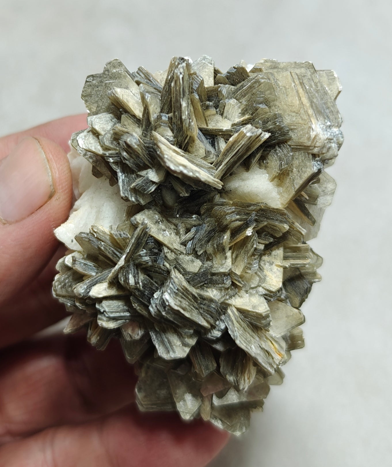 Natural specimen of combination of Albite, Schorl, and Muscovite 137 grams