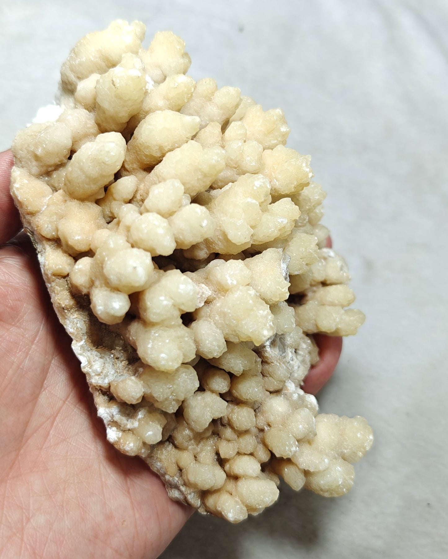 Natural aragonite crystals cluster flower shape 536 grams