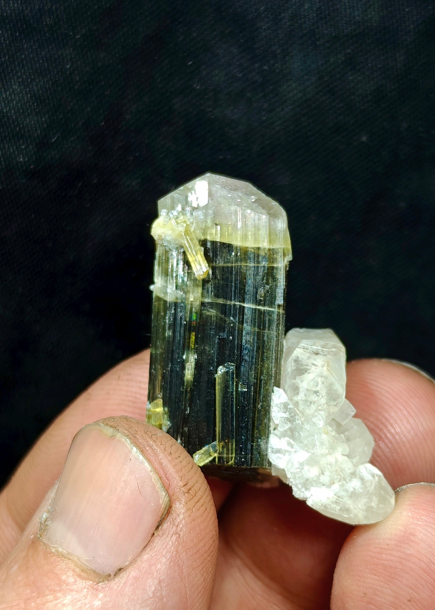 Natural dark green Tourmaline crystal with white head and associated quartz 14 grams
