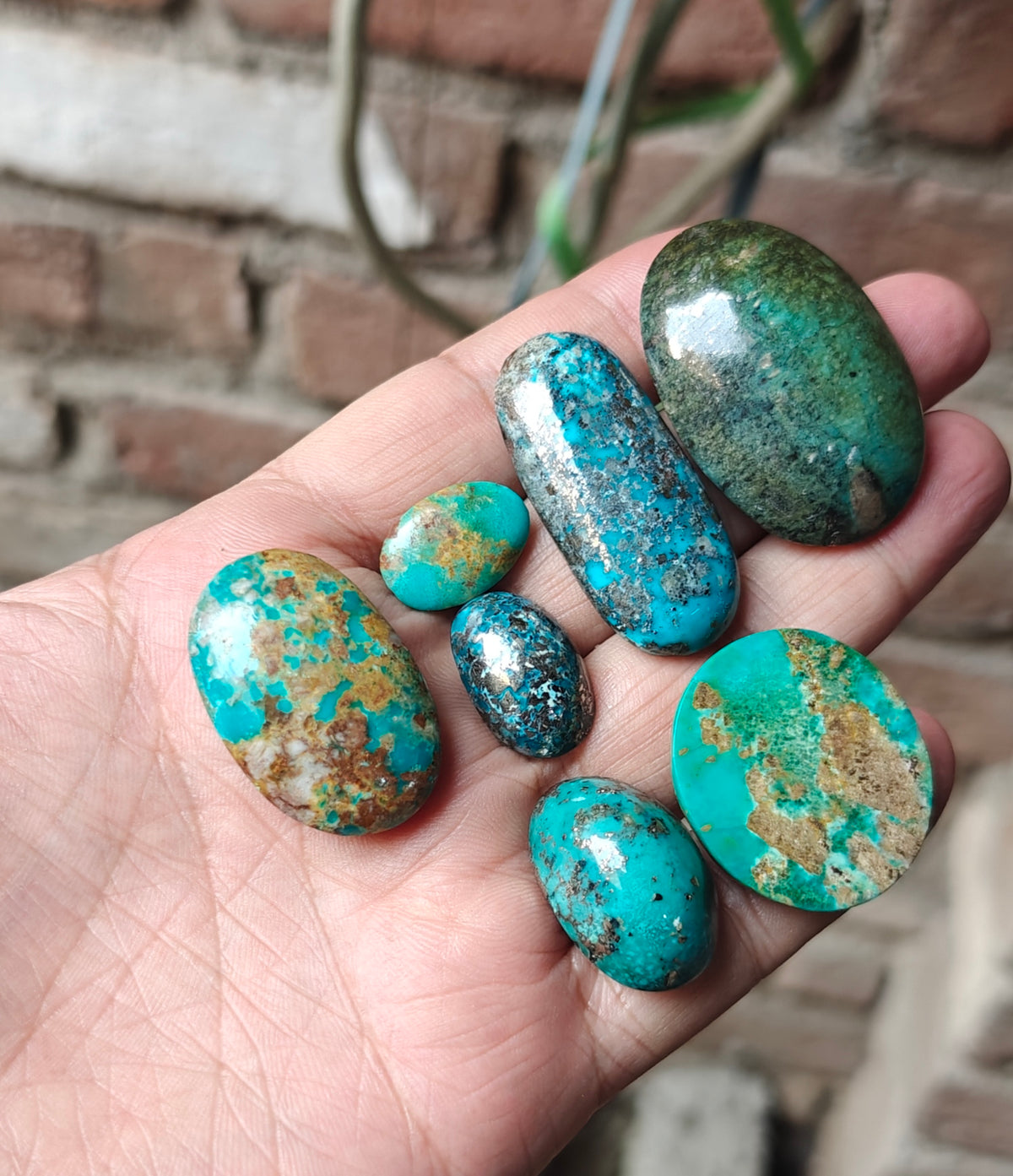 Natural stabilized turquoise cabochon collection 83 grams