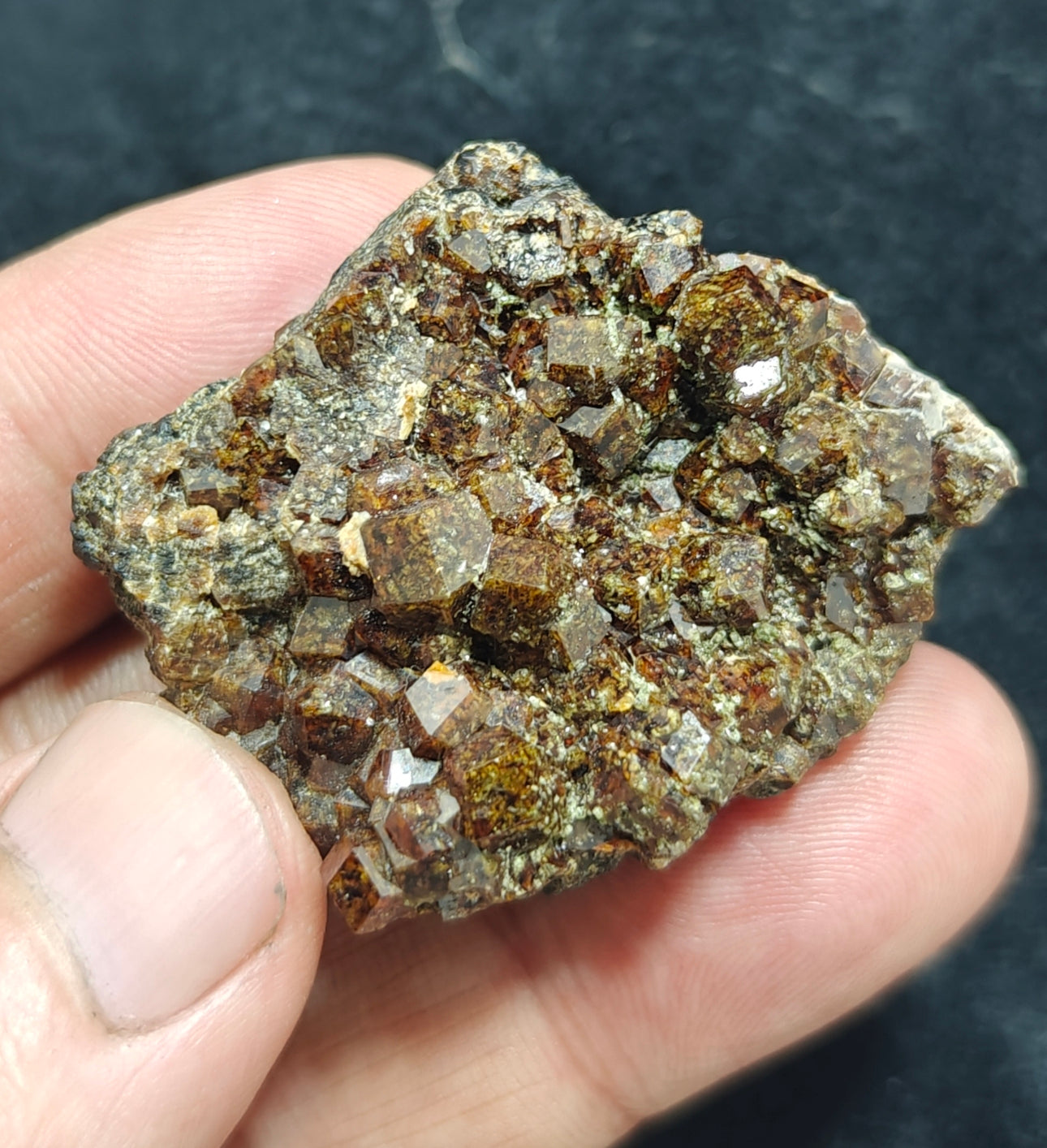 Single beautiful Garnet variety andradite clusters specimen 46 grams