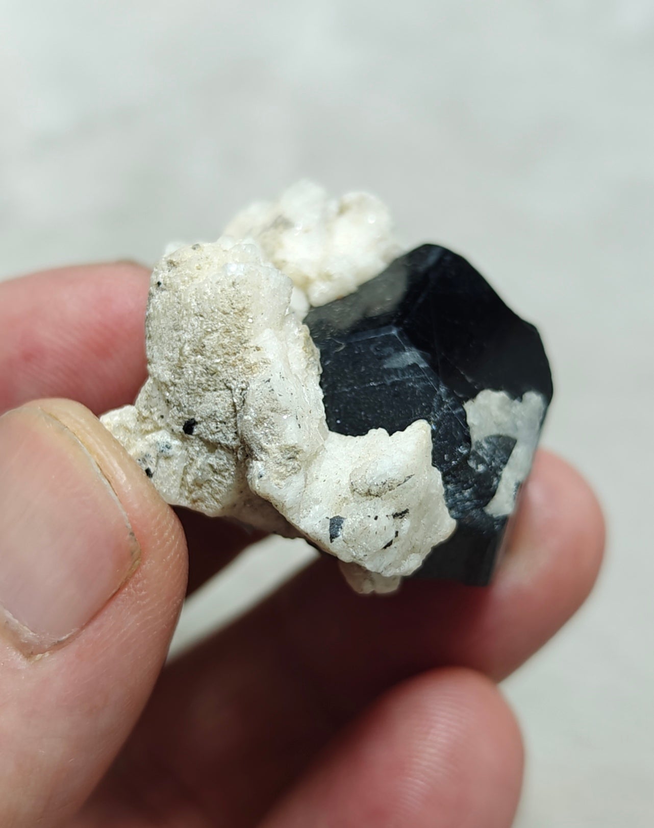 Natural Tourmaline crystal specimen with associated albite 29 grams