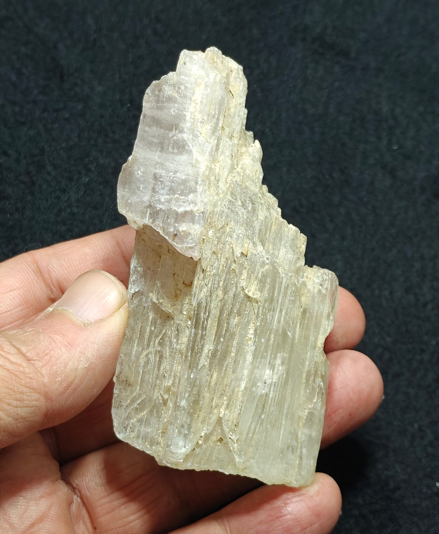 An amazing specimen of Bicolor terminated spodumene crystal 157 grams