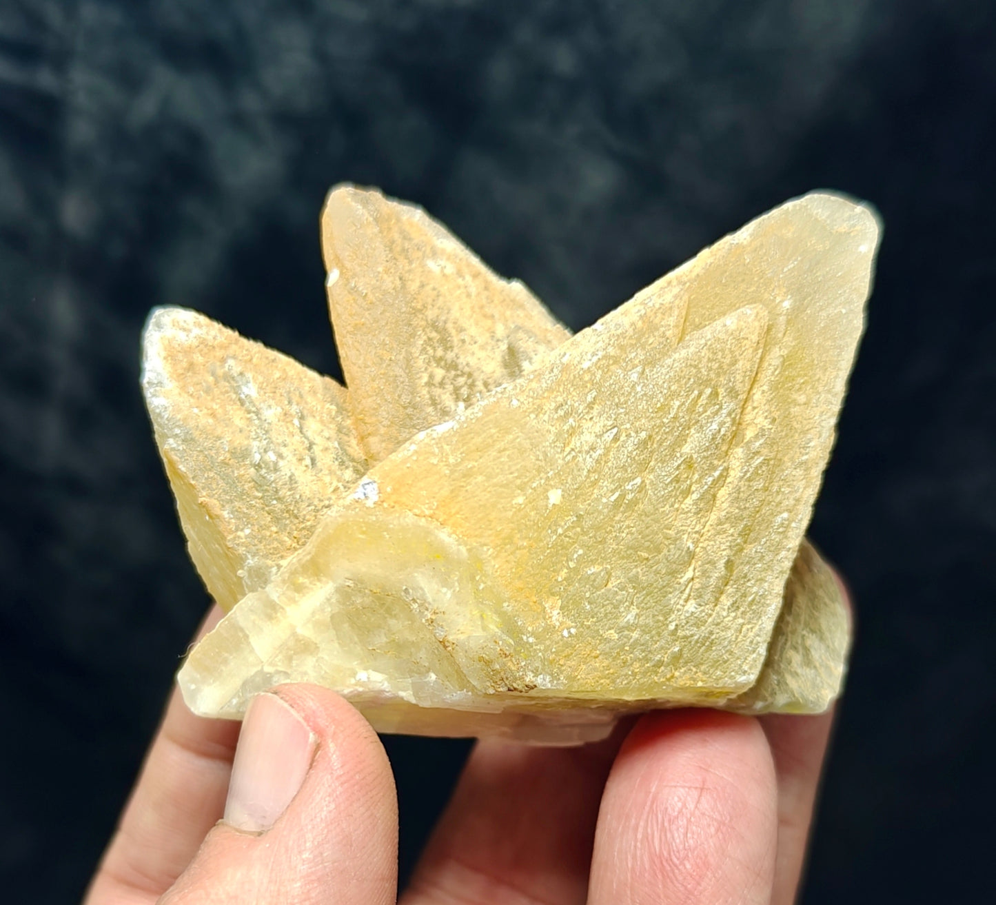 Single beautiful Dogteeth calcite crystals cluster with beautiful terminations 154 grams