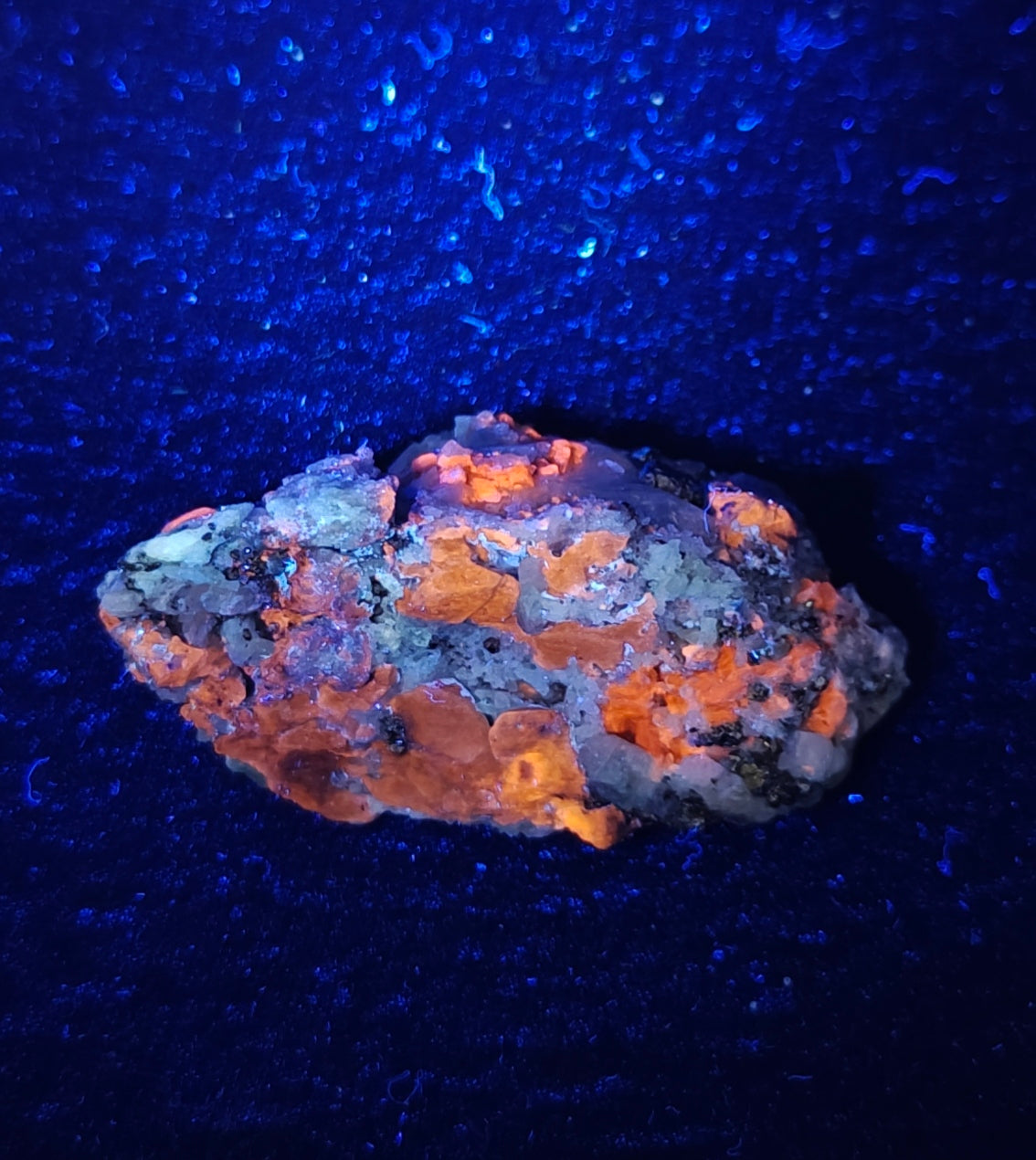 Afghanite Fluorescent in matrix with some pyrite and phlogopite 41 grams